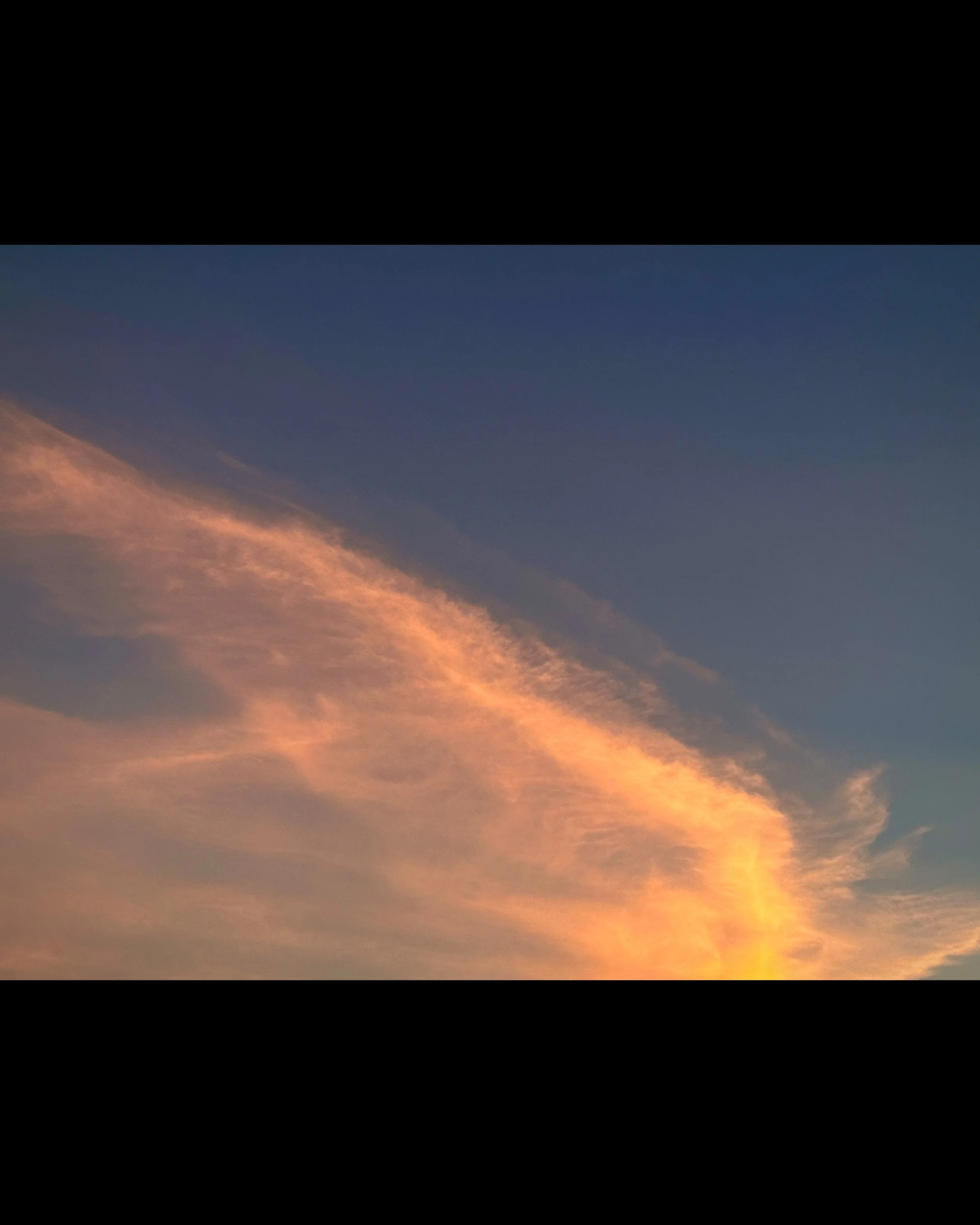 ISIMG-859757.jpg