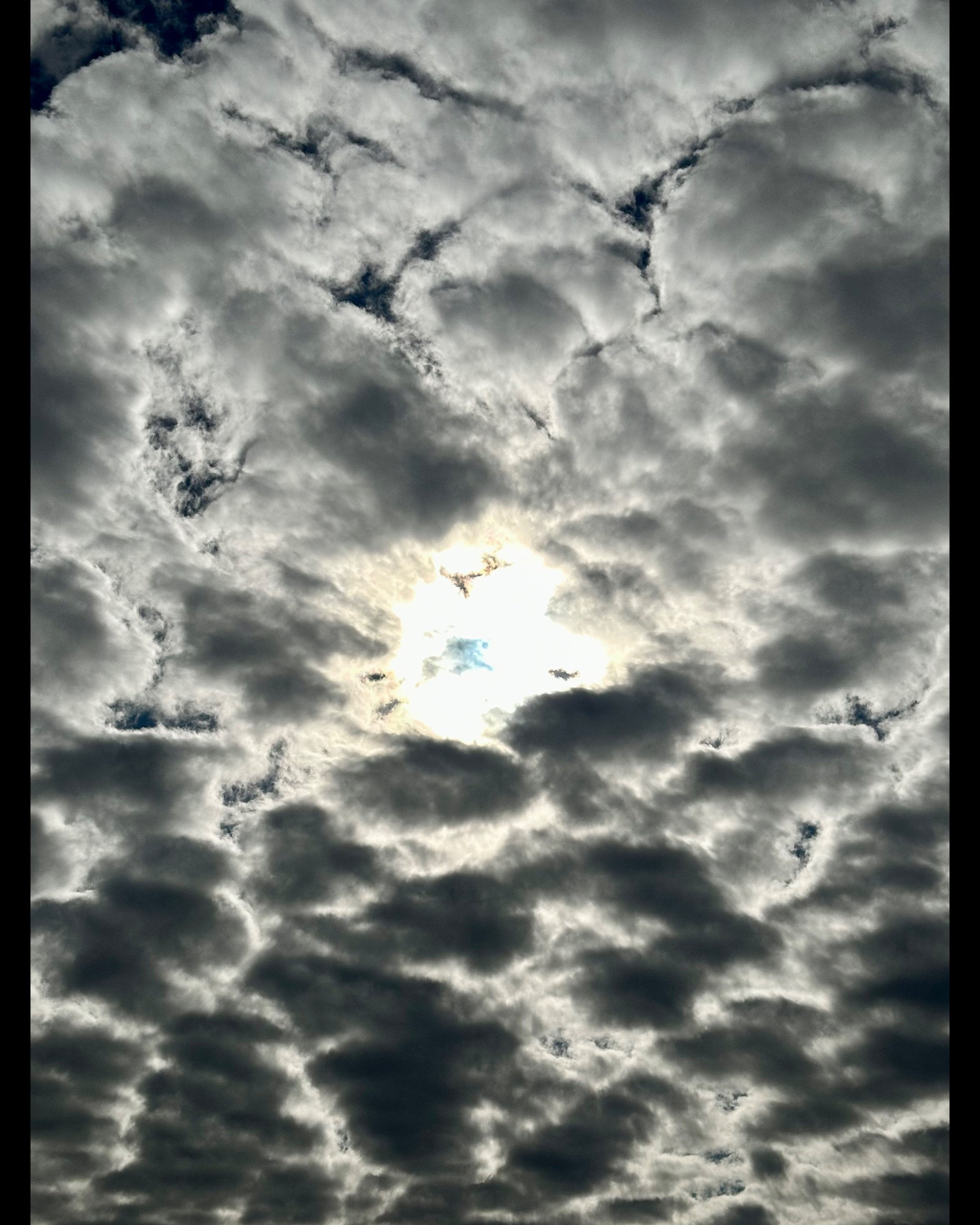 ISIMG-1024509.jpg