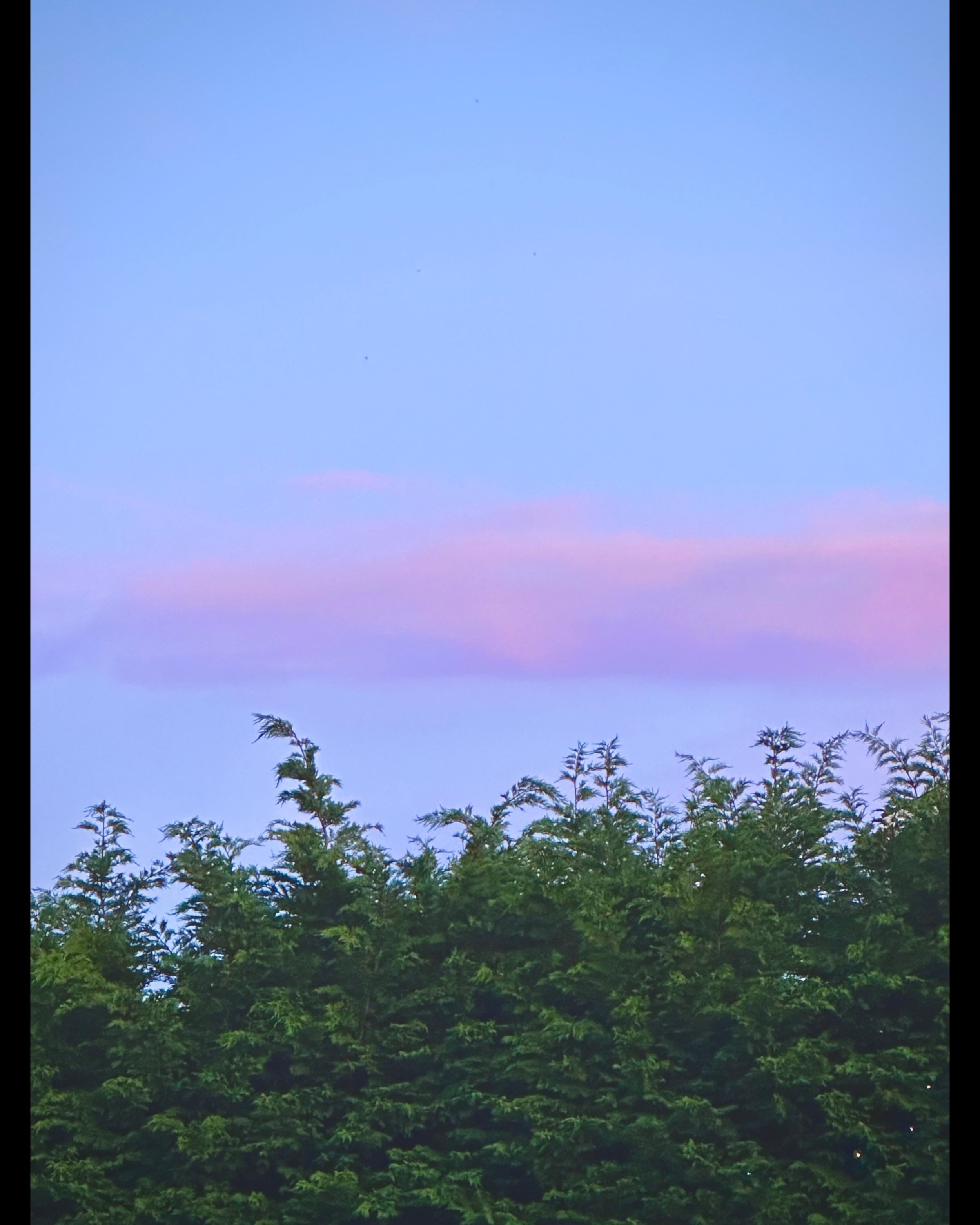 ISIMG-1029098.jpg