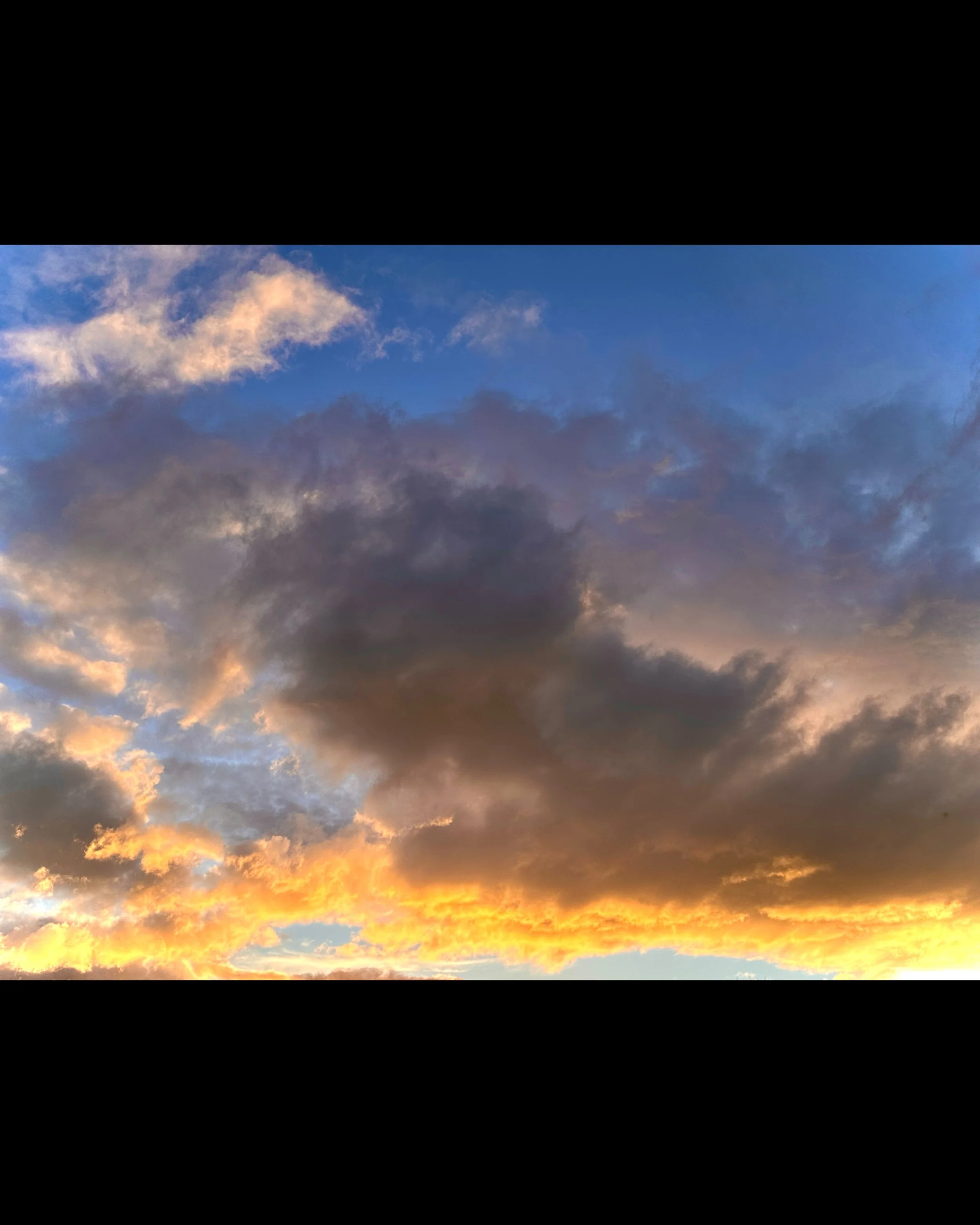 ISIMG-1006157.jpg