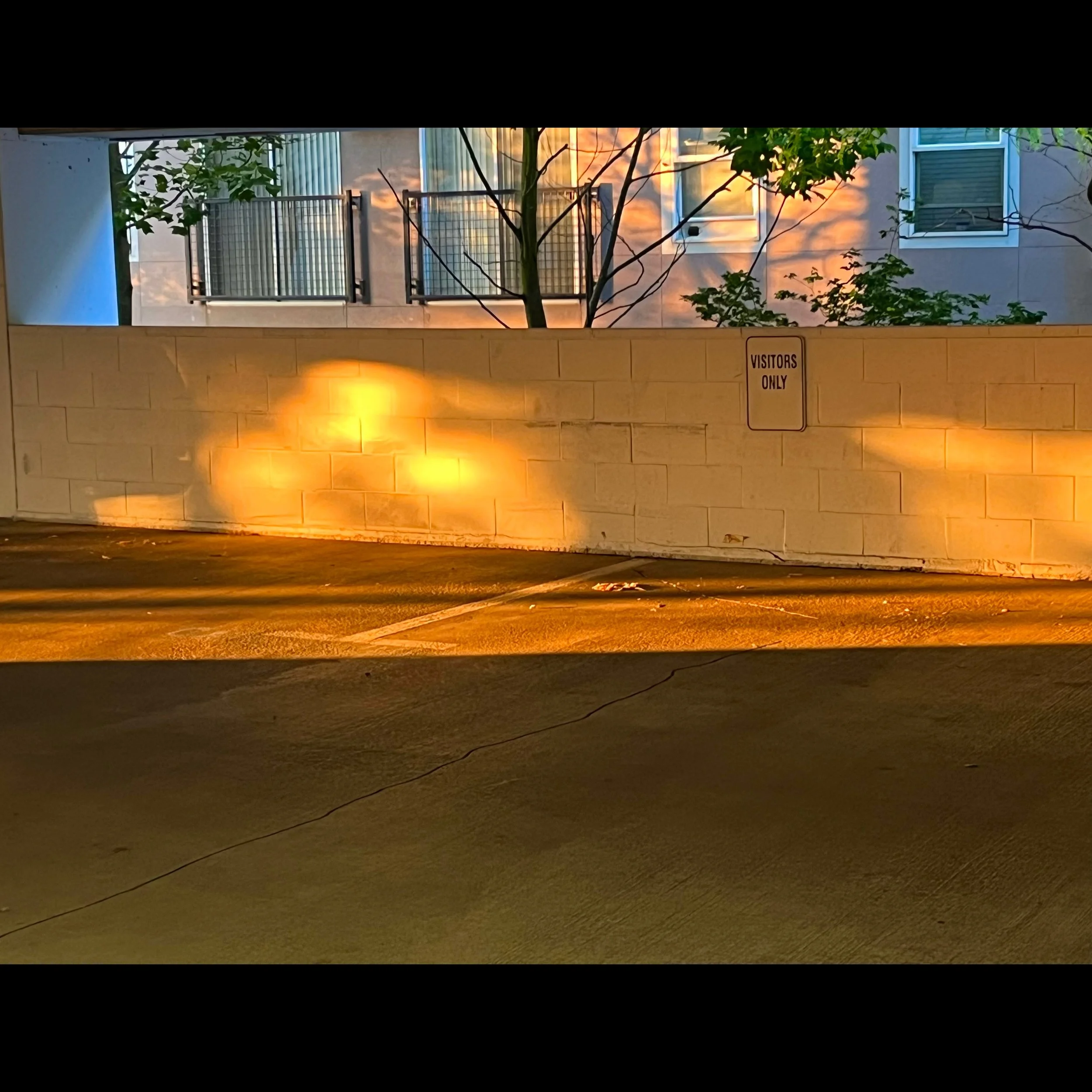 ISIMG-806754.jpg