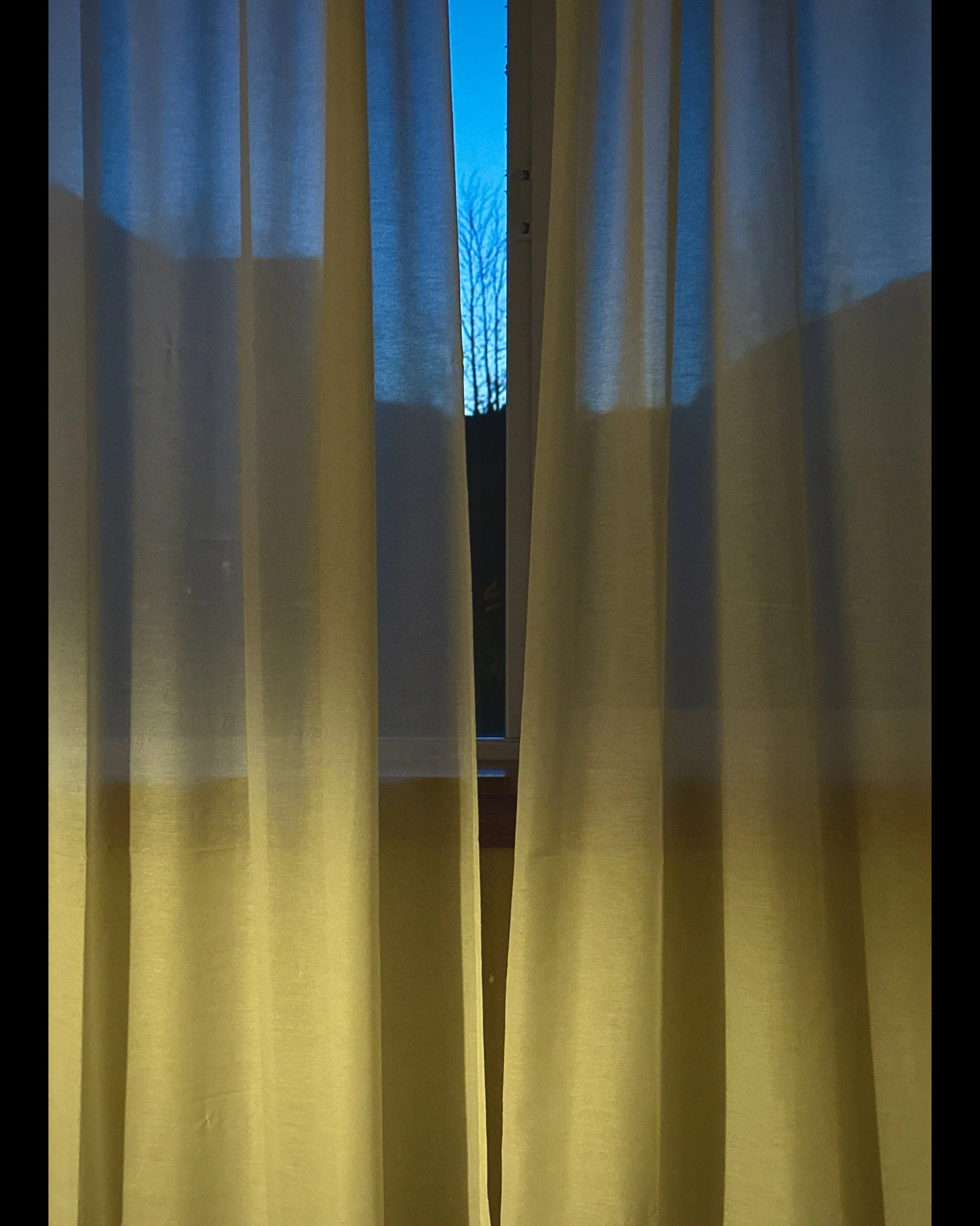 ISIMG-1006768.jpg