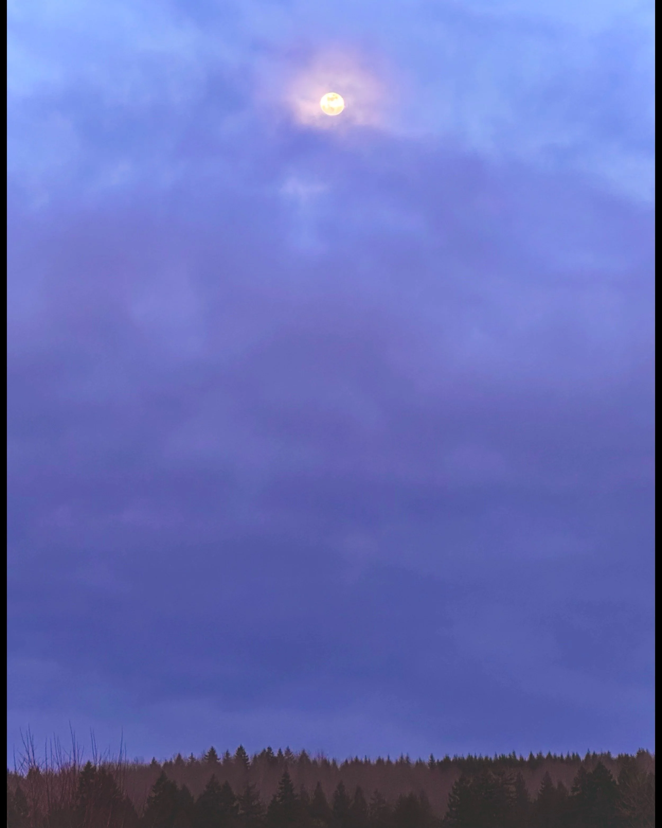 ISIMG-963317.jpg