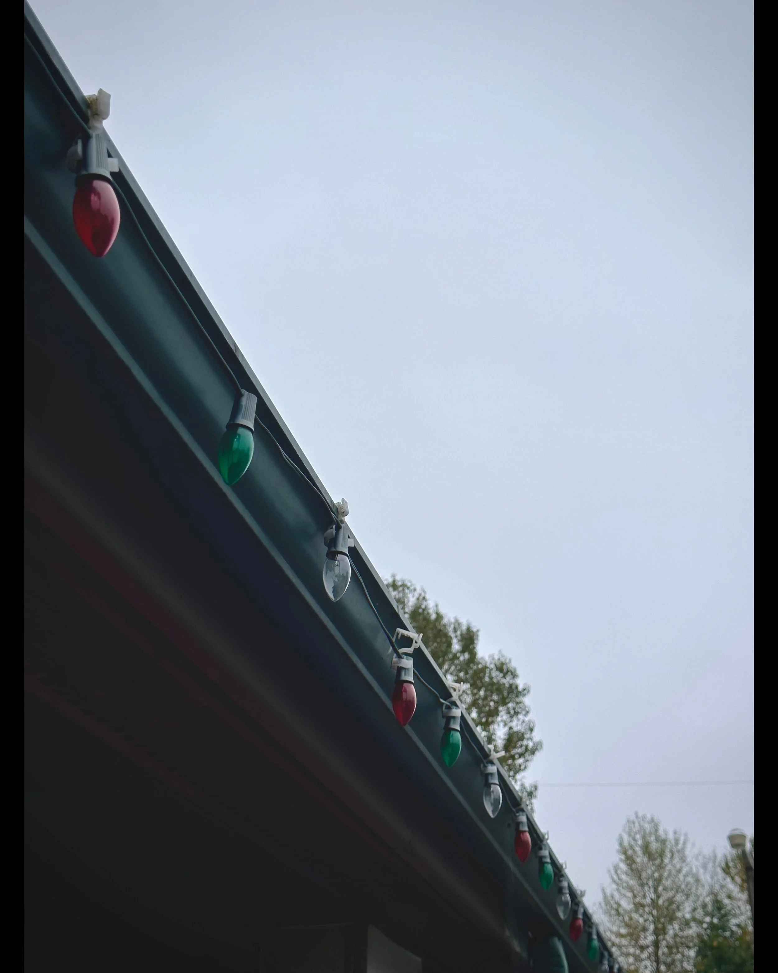 ISIMG-952706.jpg