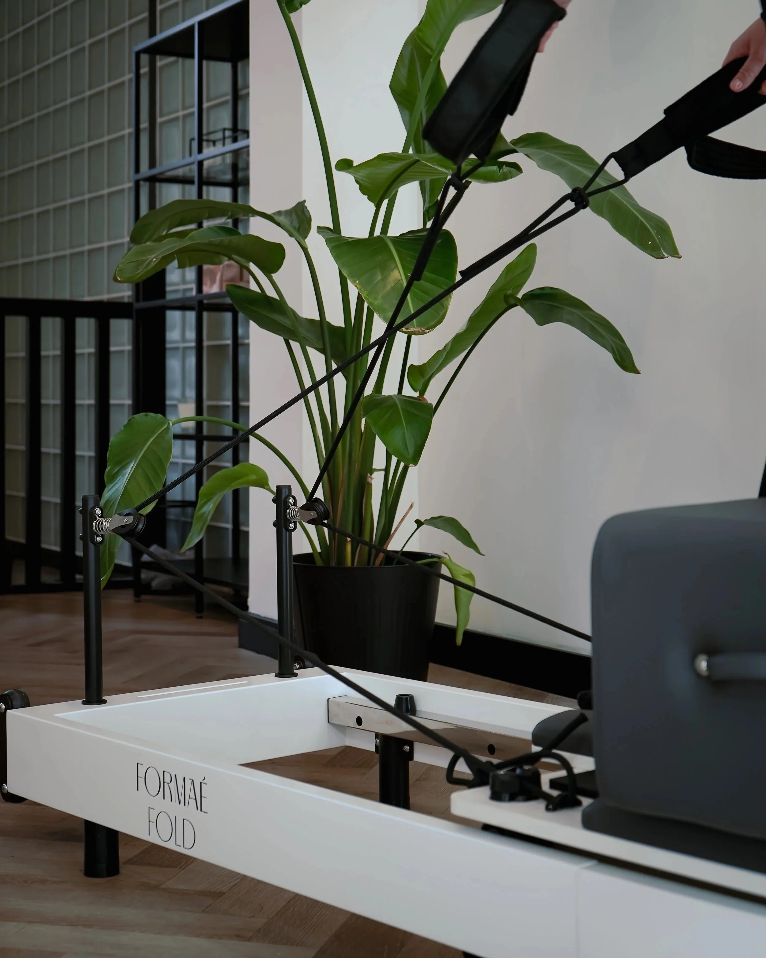 A person using a foldable piece of exercise equipment with resistance cables in front of a large potted green plant inside a modern room.