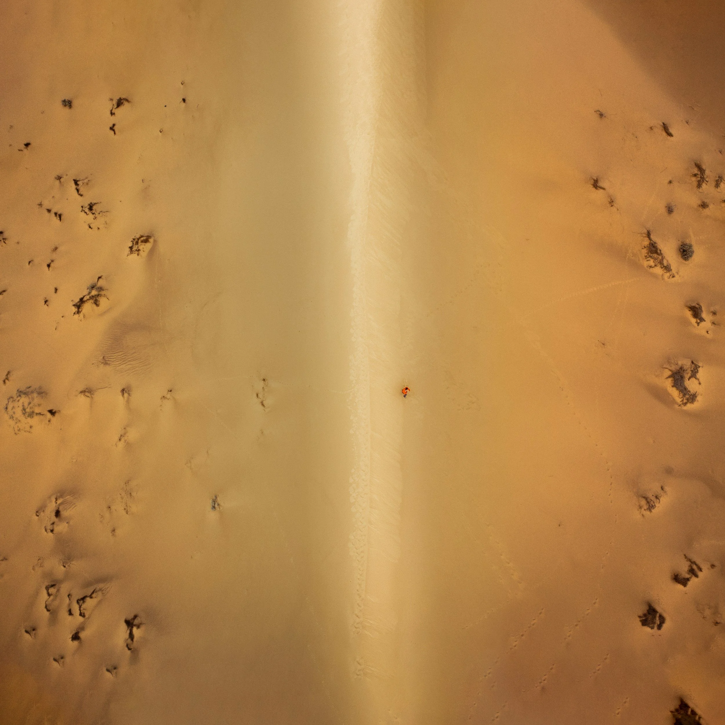 Saharan desert in Algeria