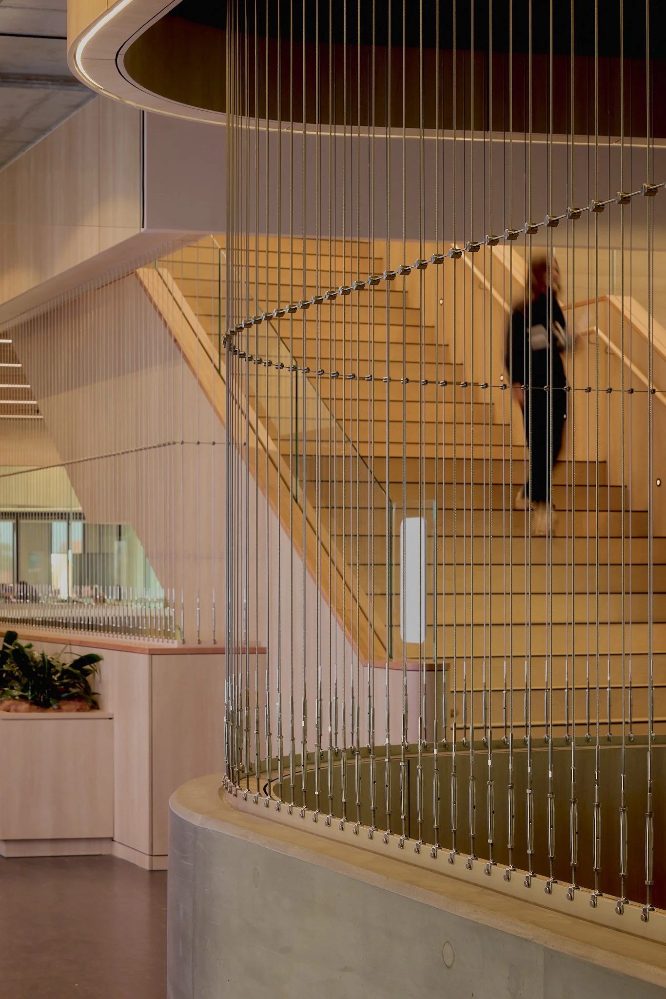 Vertical cable balustrades installed by Bespoke Wire & Rope at Caulfield Grammar Science Building St Kilda East VIC with ADCO, DesignInc, and 3XN Architects.