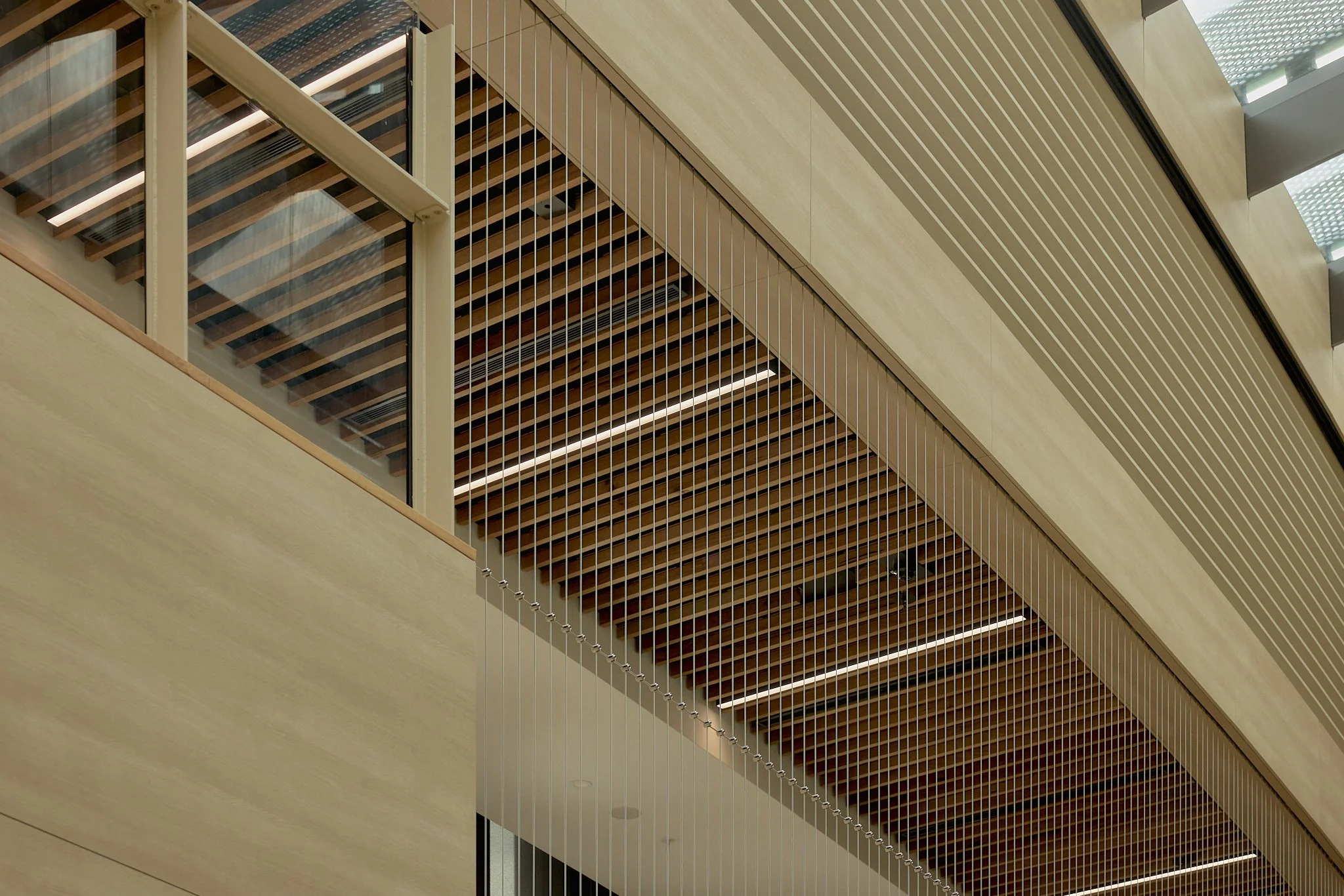 Vertical cable balustrades installed by Bespoke Wire & Rope at Caulfield Grammar Science Building St Kilda East VIC with ADCO, DesignInc, and 3XN Architects.