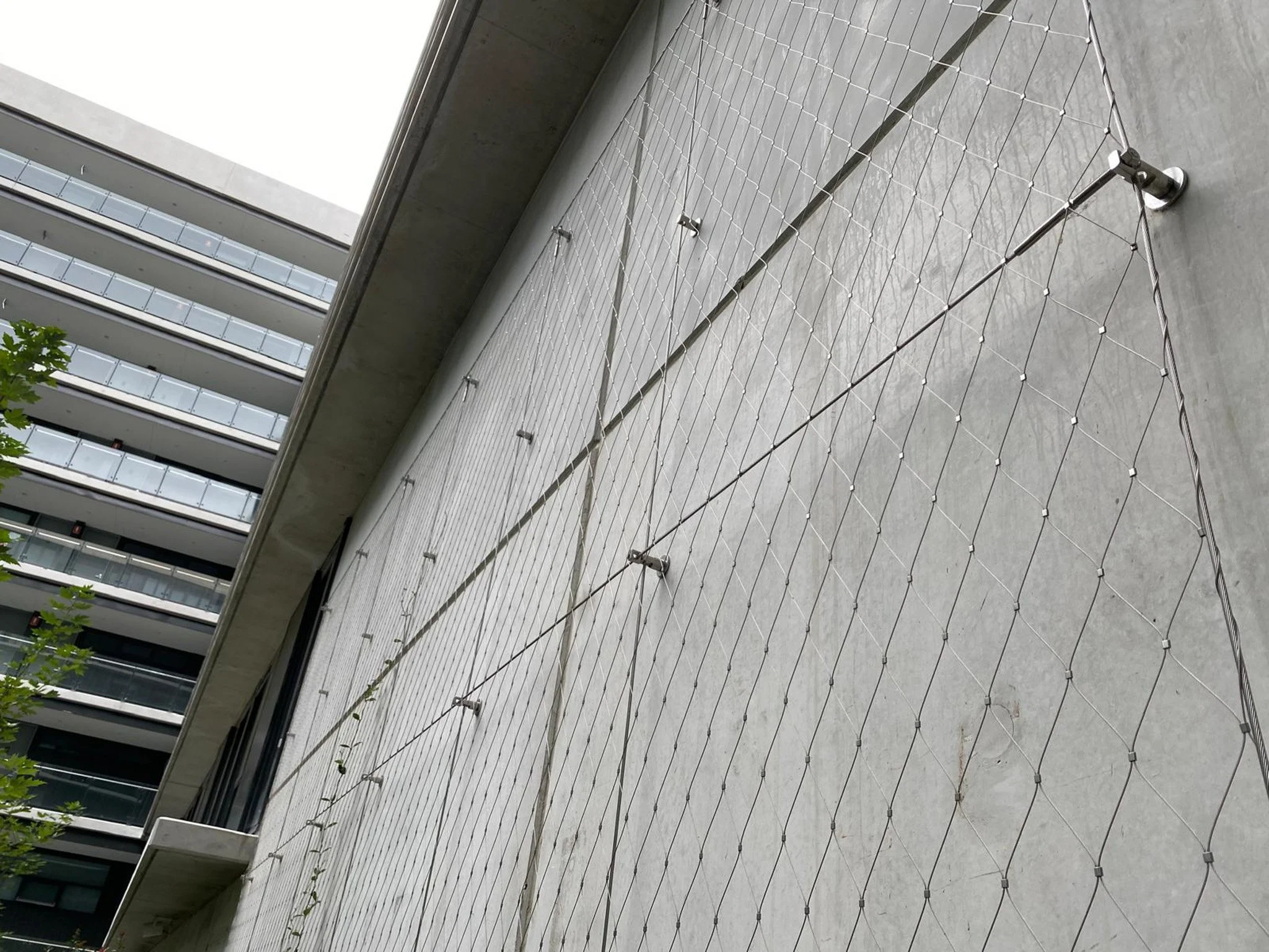 Flexi-mesh green wall system installed by Bespoke Wire & Rope in Campbell ACT with ICON and Front Architects.