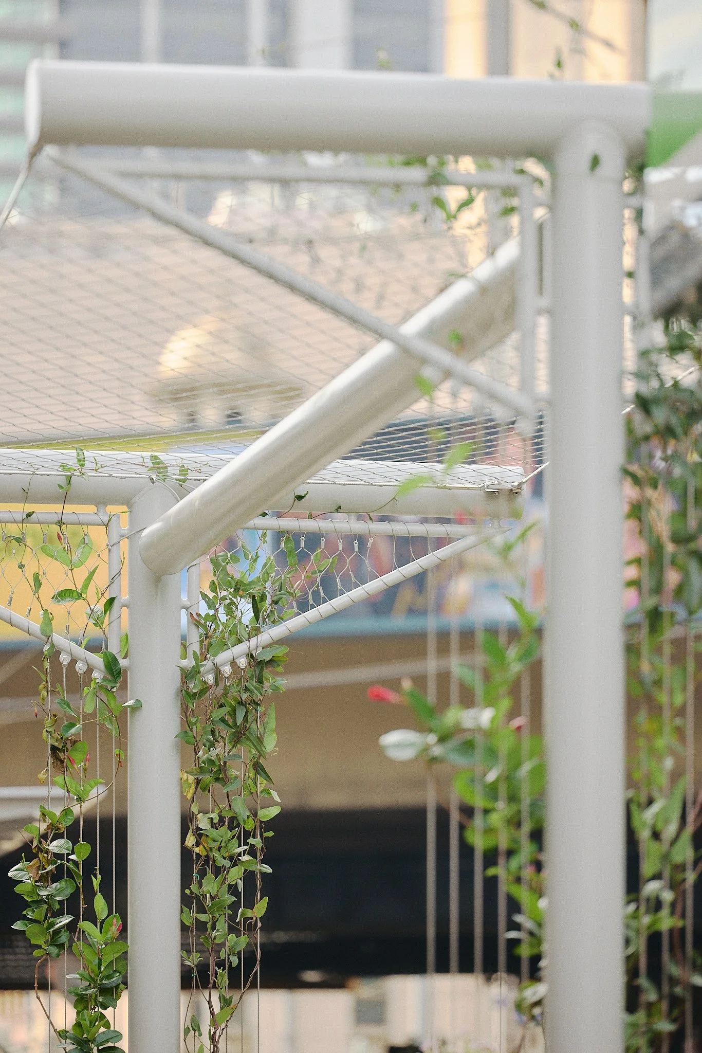 Urban Arbour green infrastructure at tram stops in Melbourne CBD by Bespoke Wire & Rope with PBBS and Yarra Trams.