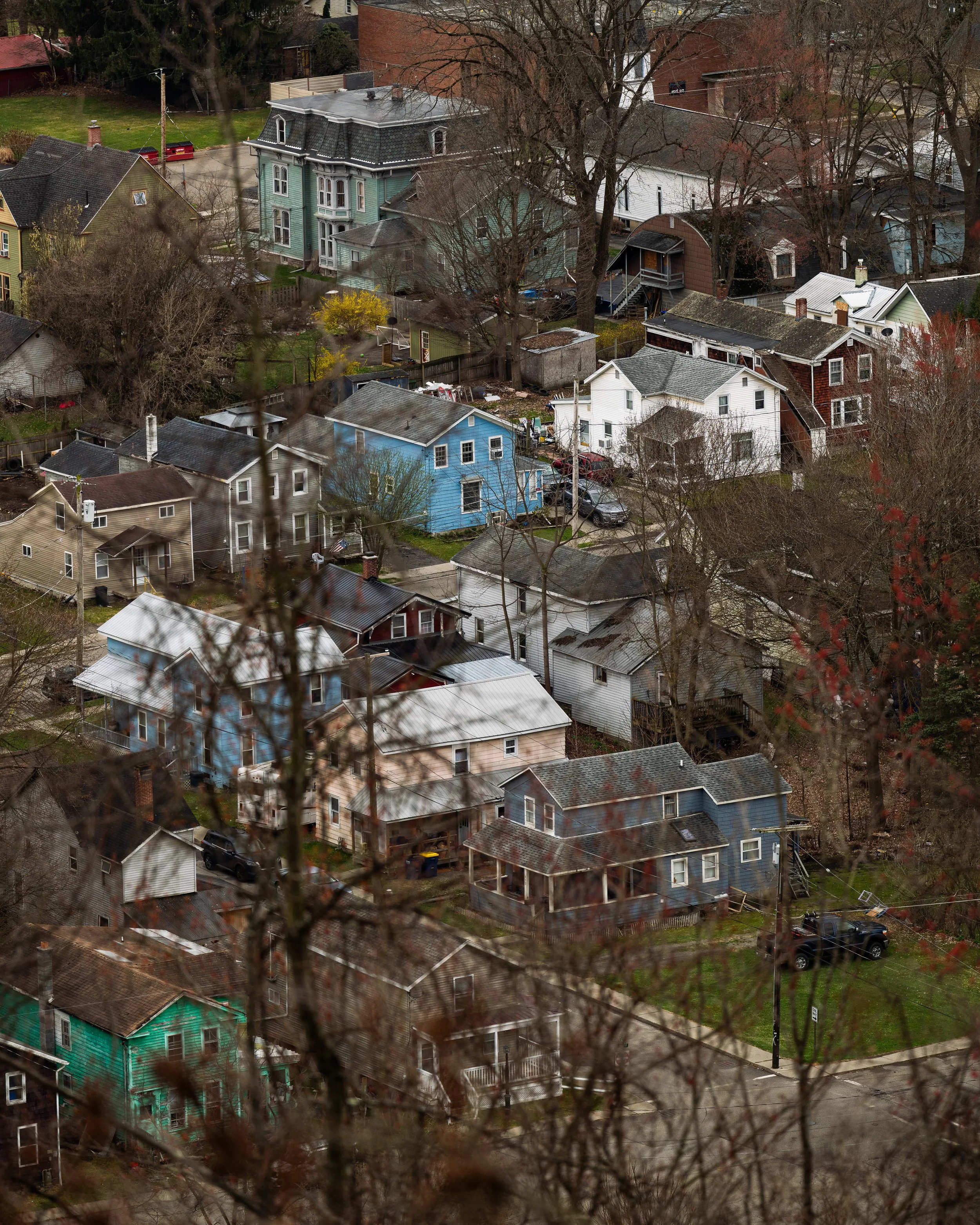 View of a neighborhood with colorful houses and trees, seen through some branches in the foreground.