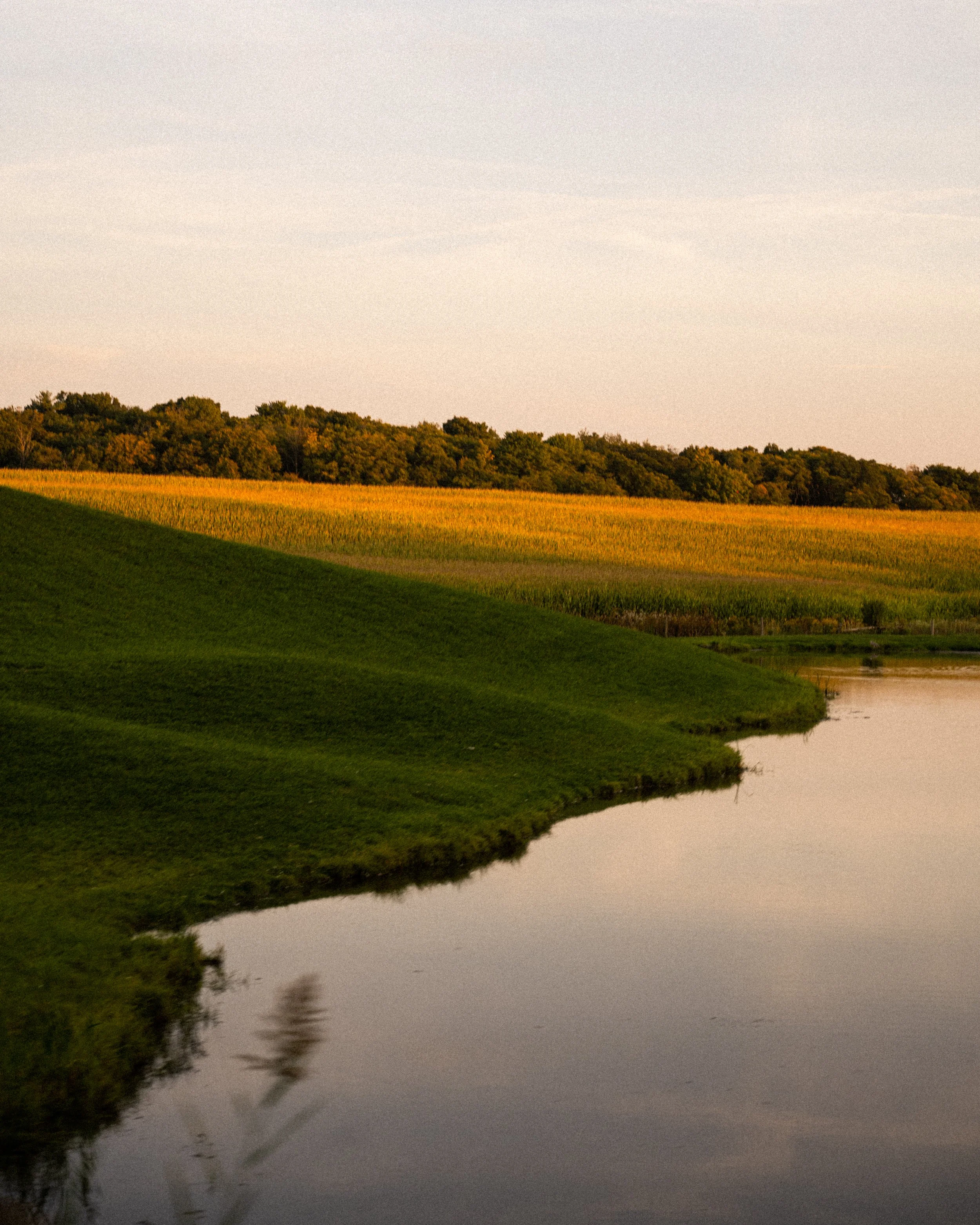 A peaceful landscape featuring a calm river reflecting the sky, green grassy hills, and distant fields with golden crops under a clear sky. Ontario, Canada. Travel Artwork Photography. Kyle Mark Peterson.