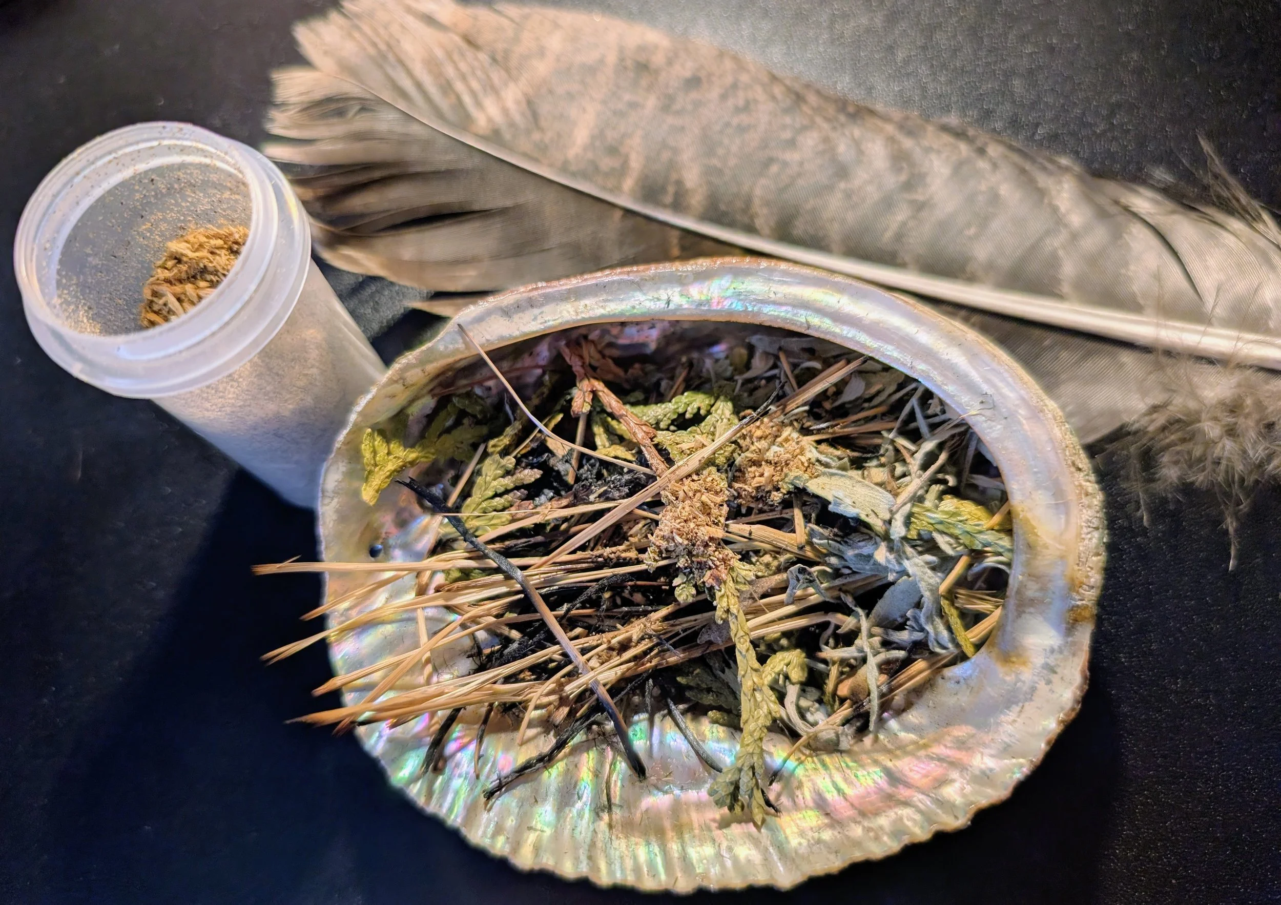 Keep Going (On Writing and Nature)