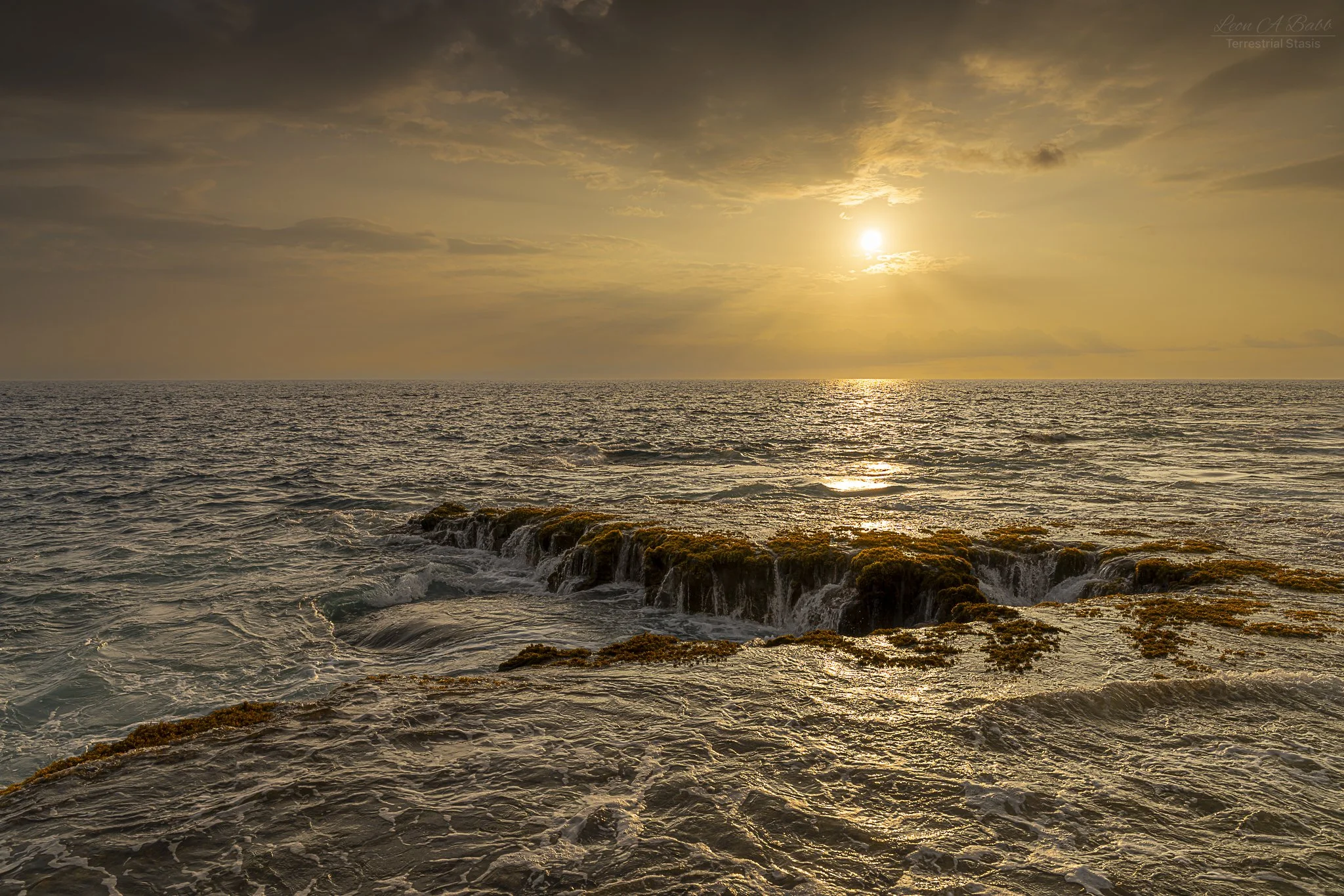 _A7C9639.jpg