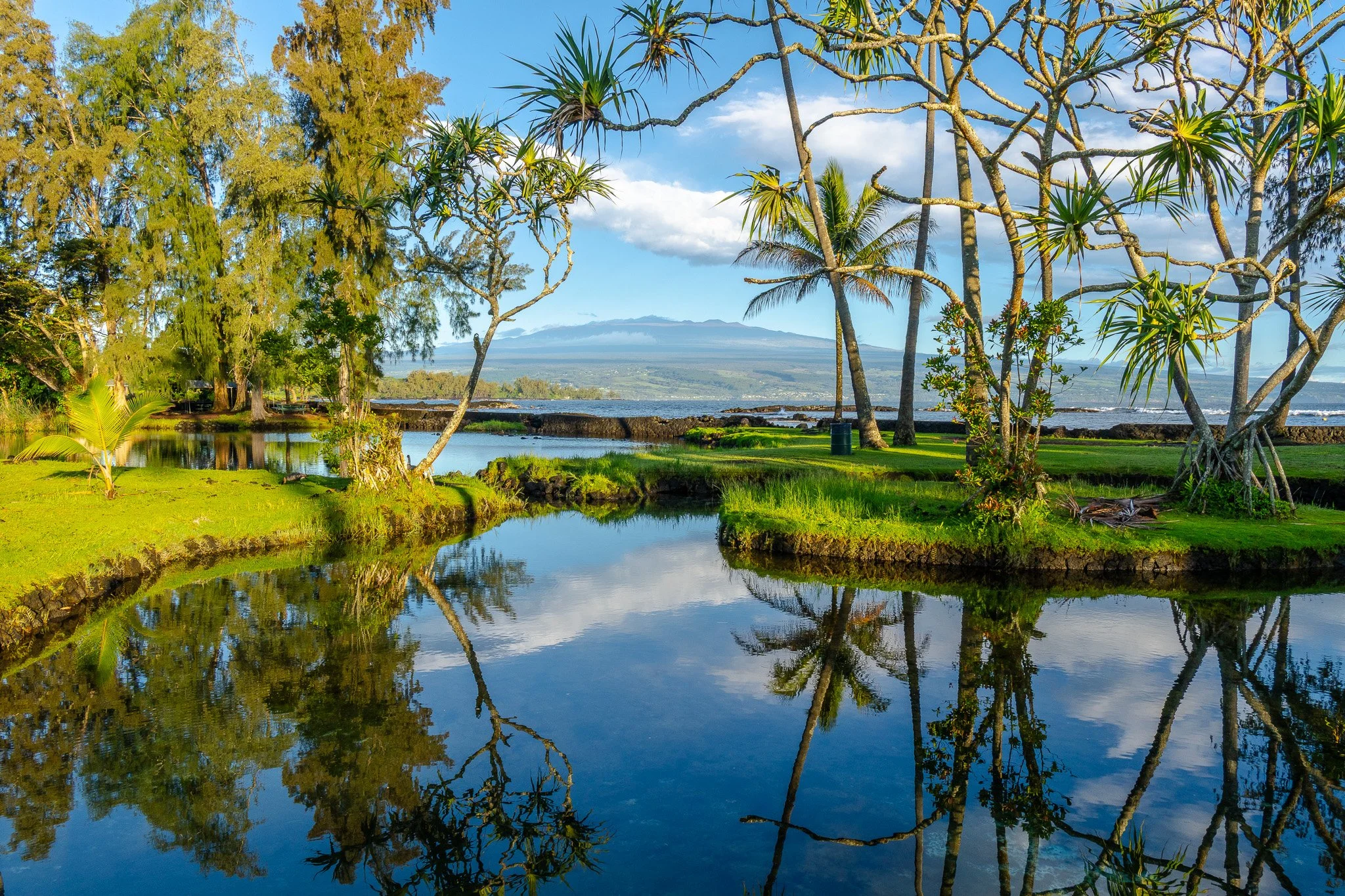 Tropical park with lush green grass, tall trees, and a calm water body reflecting the sky and trees, with mountains and ocean in the background.