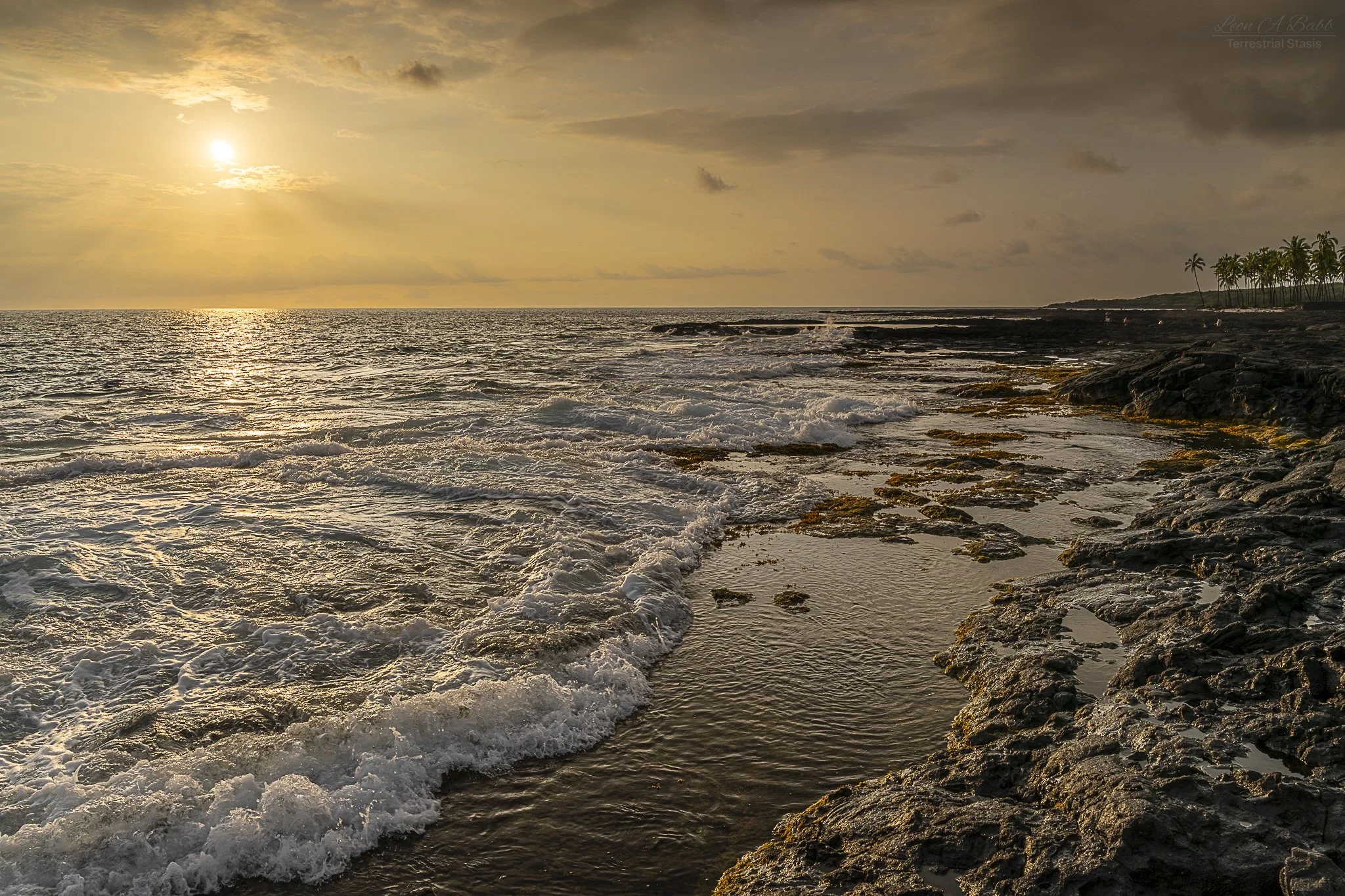 _A7C9647.jpg
