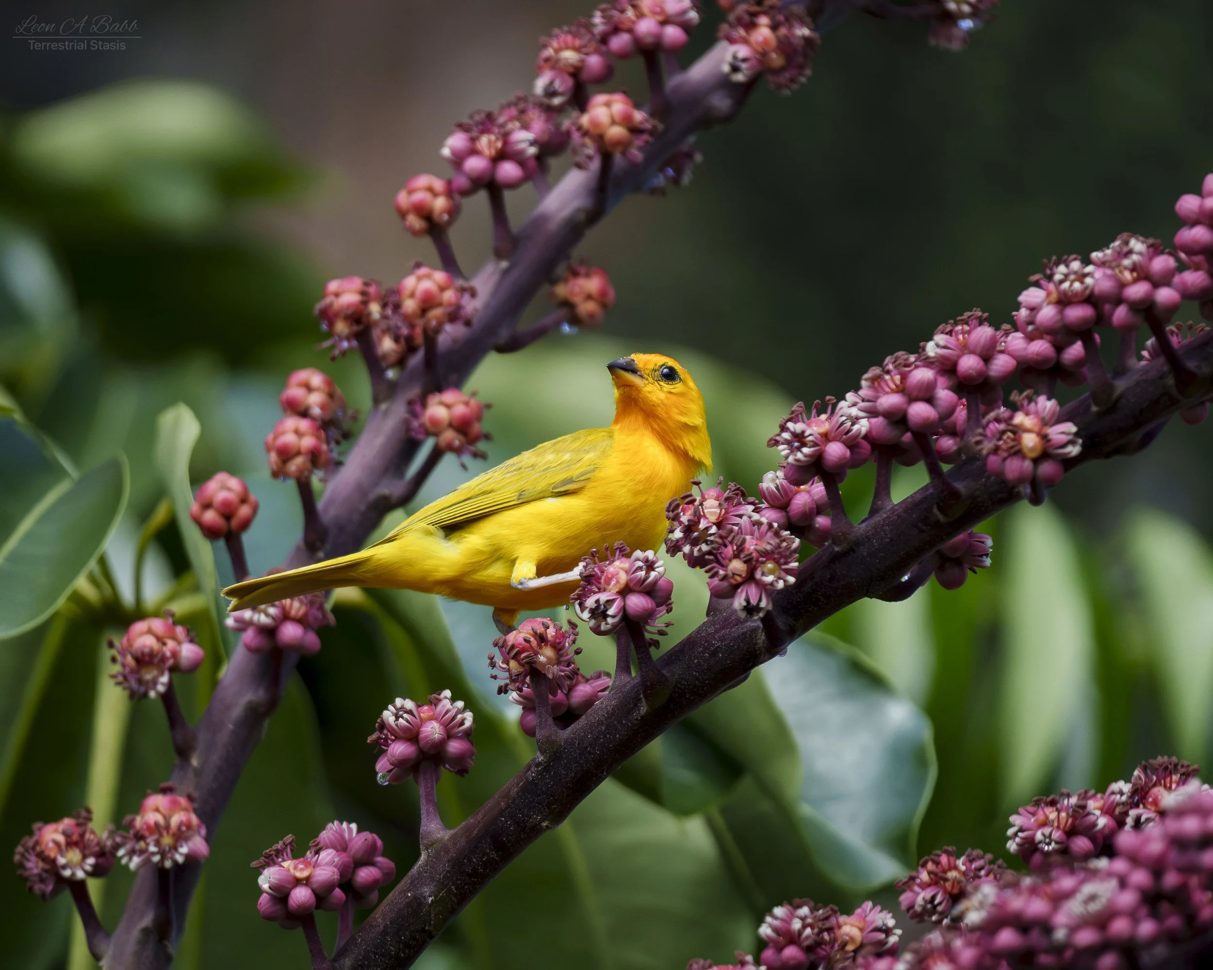 _A7C4204-2.jpg