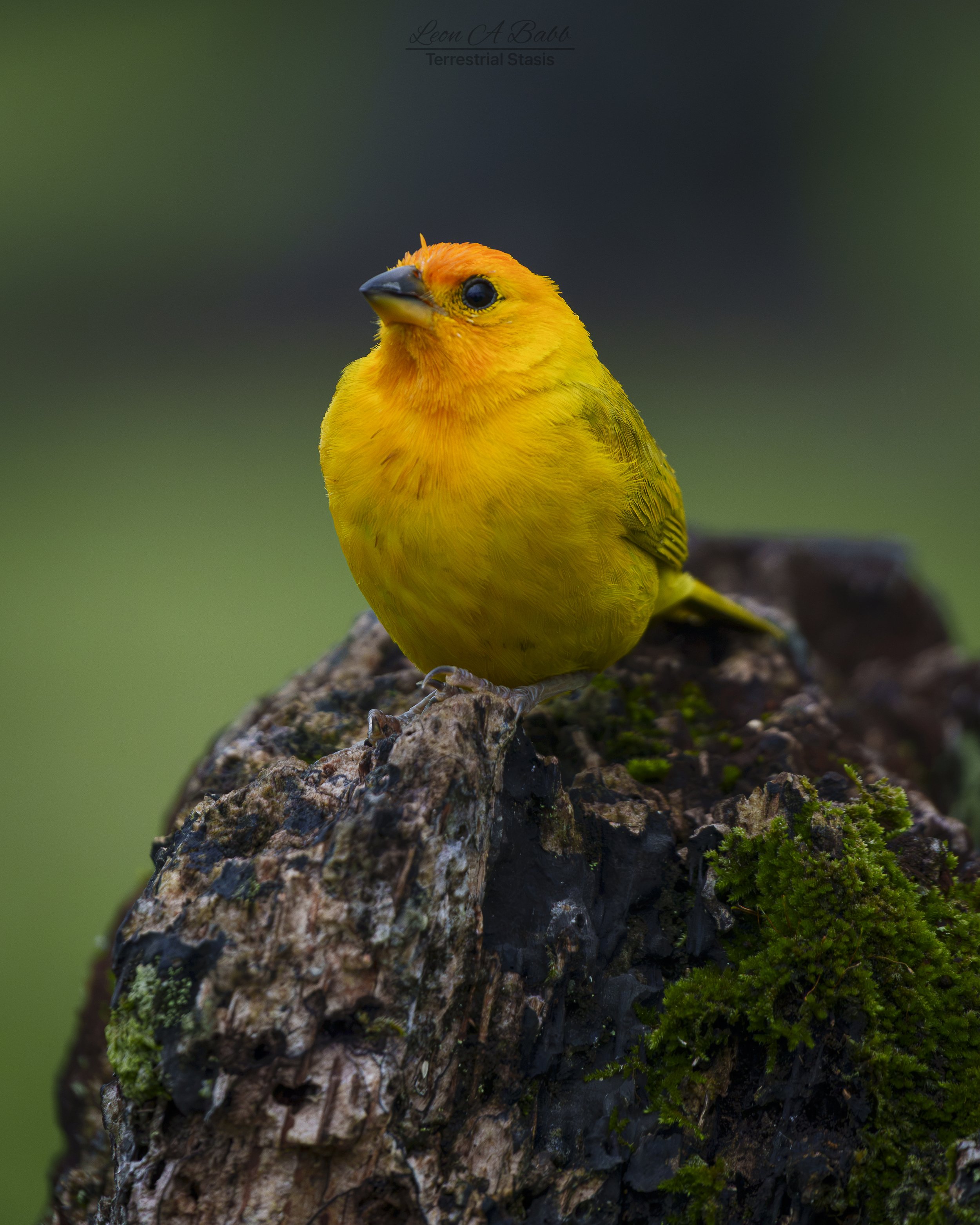 _A7C3947.jpg