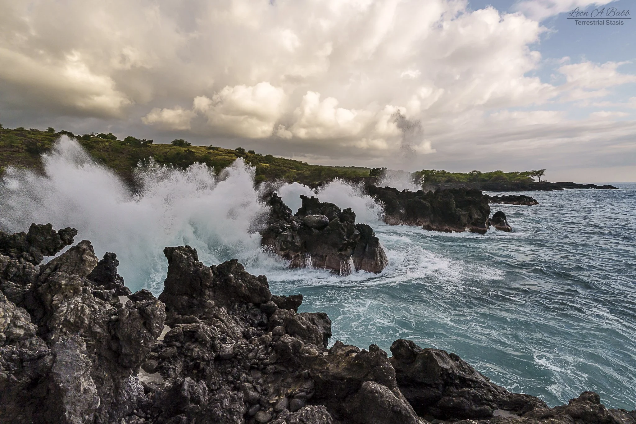 _A7C0378.jpg
