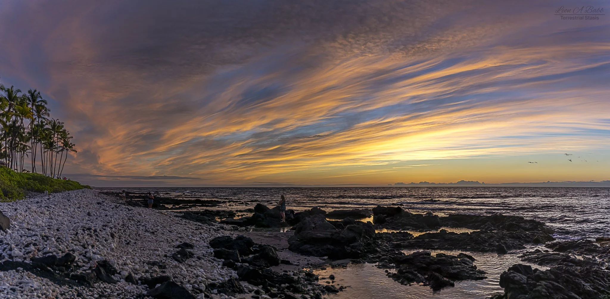 _A7C1453-Pano.jpg