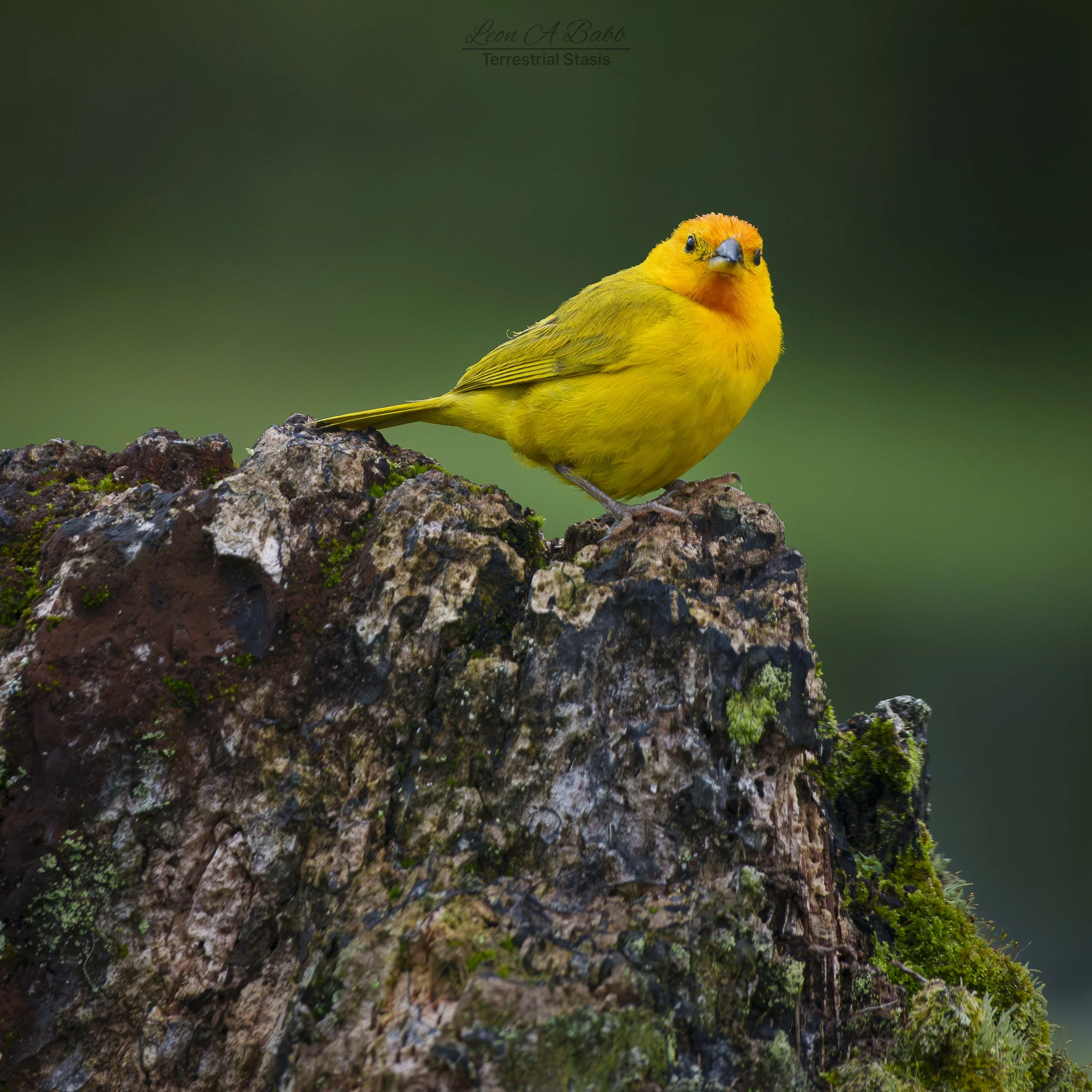 _A7C3927.jpg