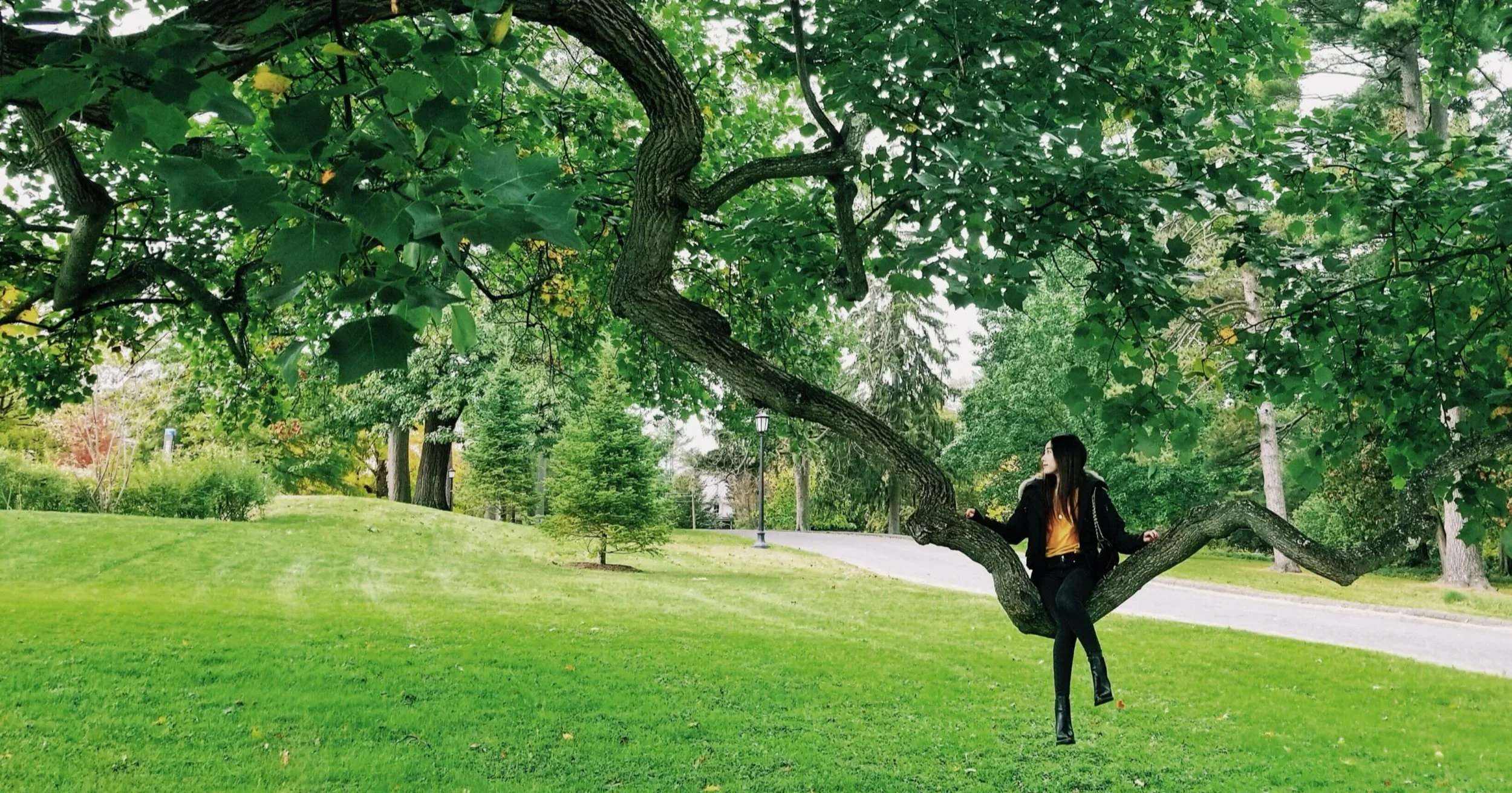 Uncovering Social Media Content Gems for Your University