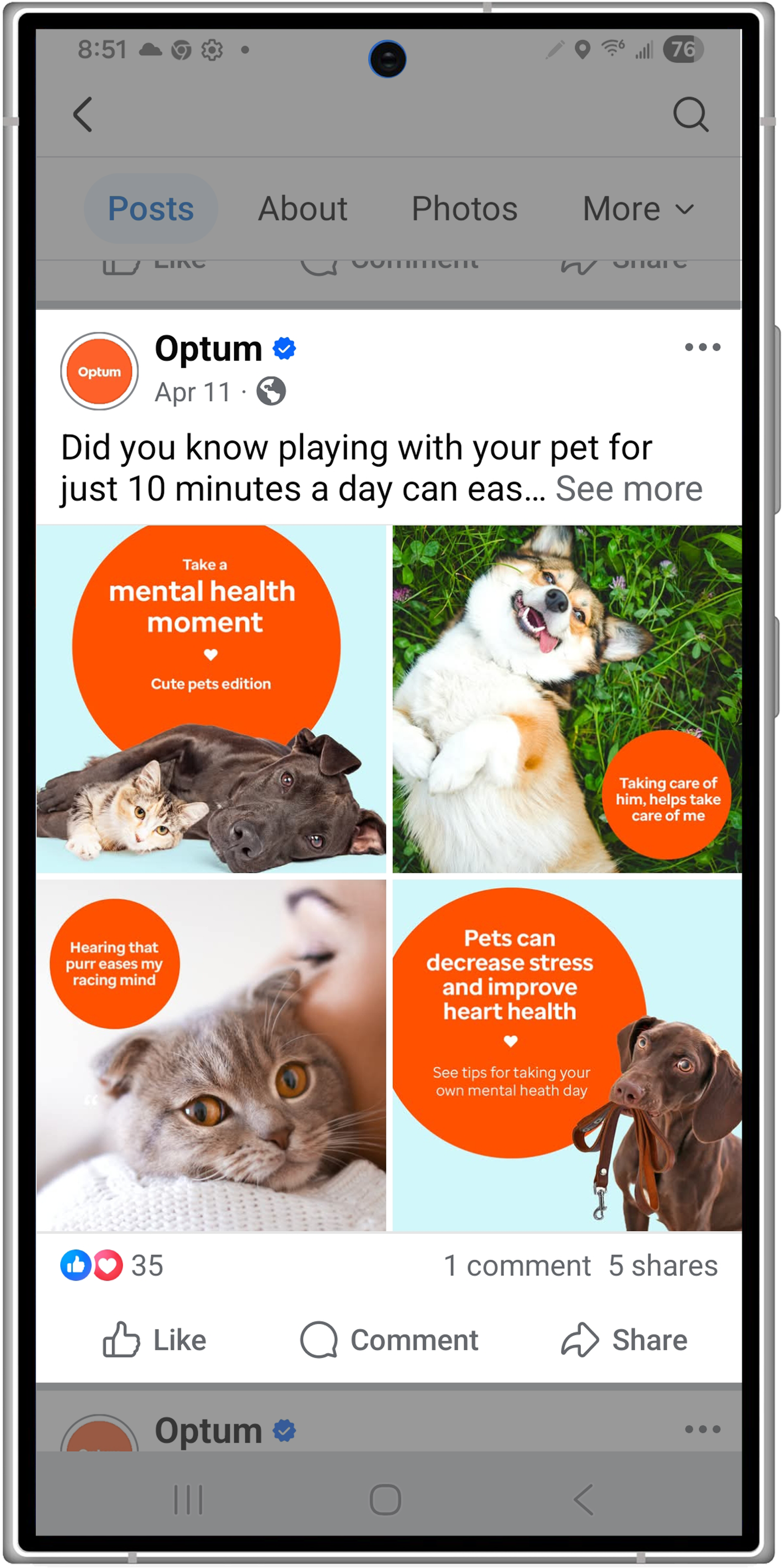 Pets 1.png