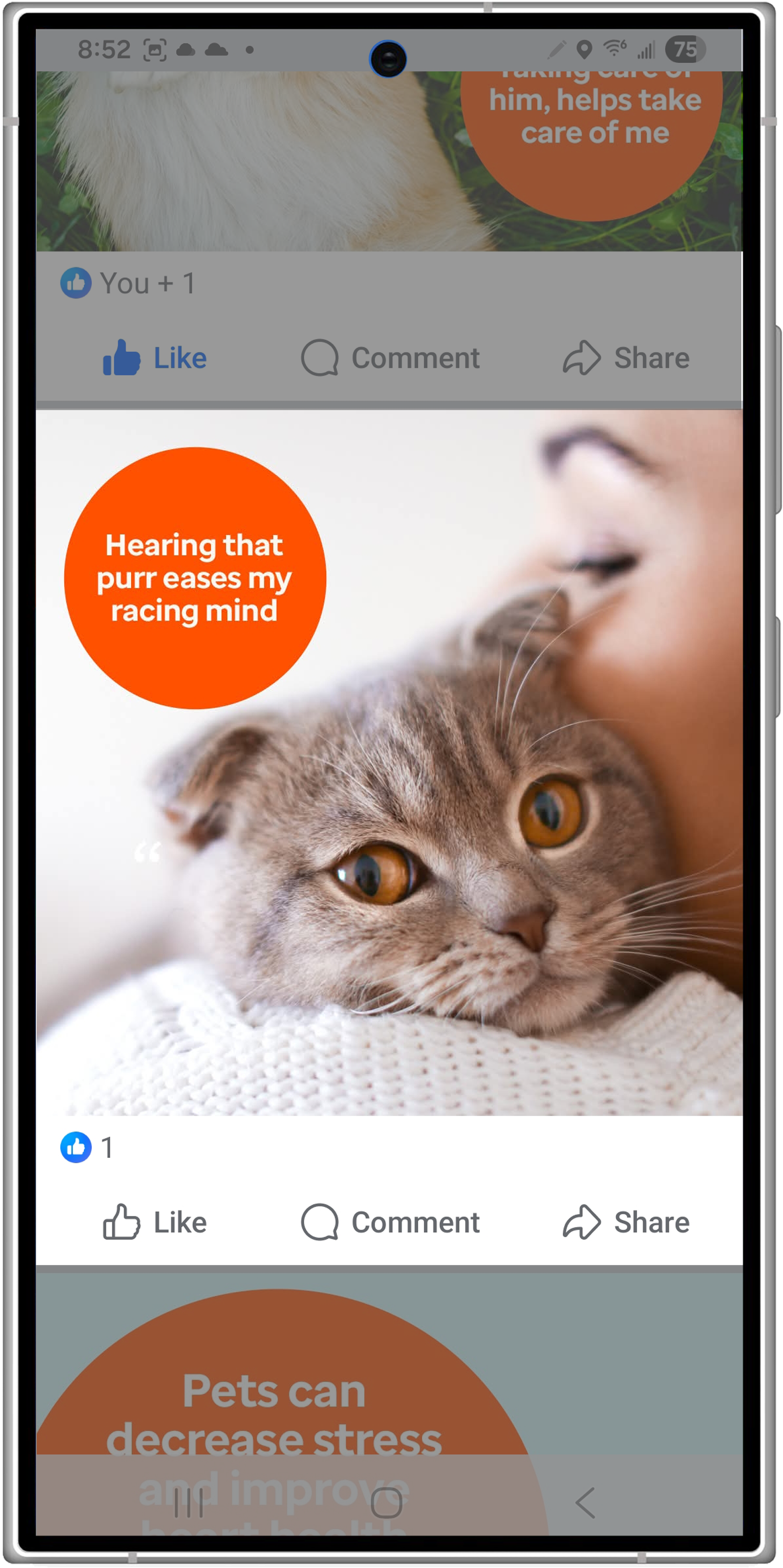 Pets 4.png