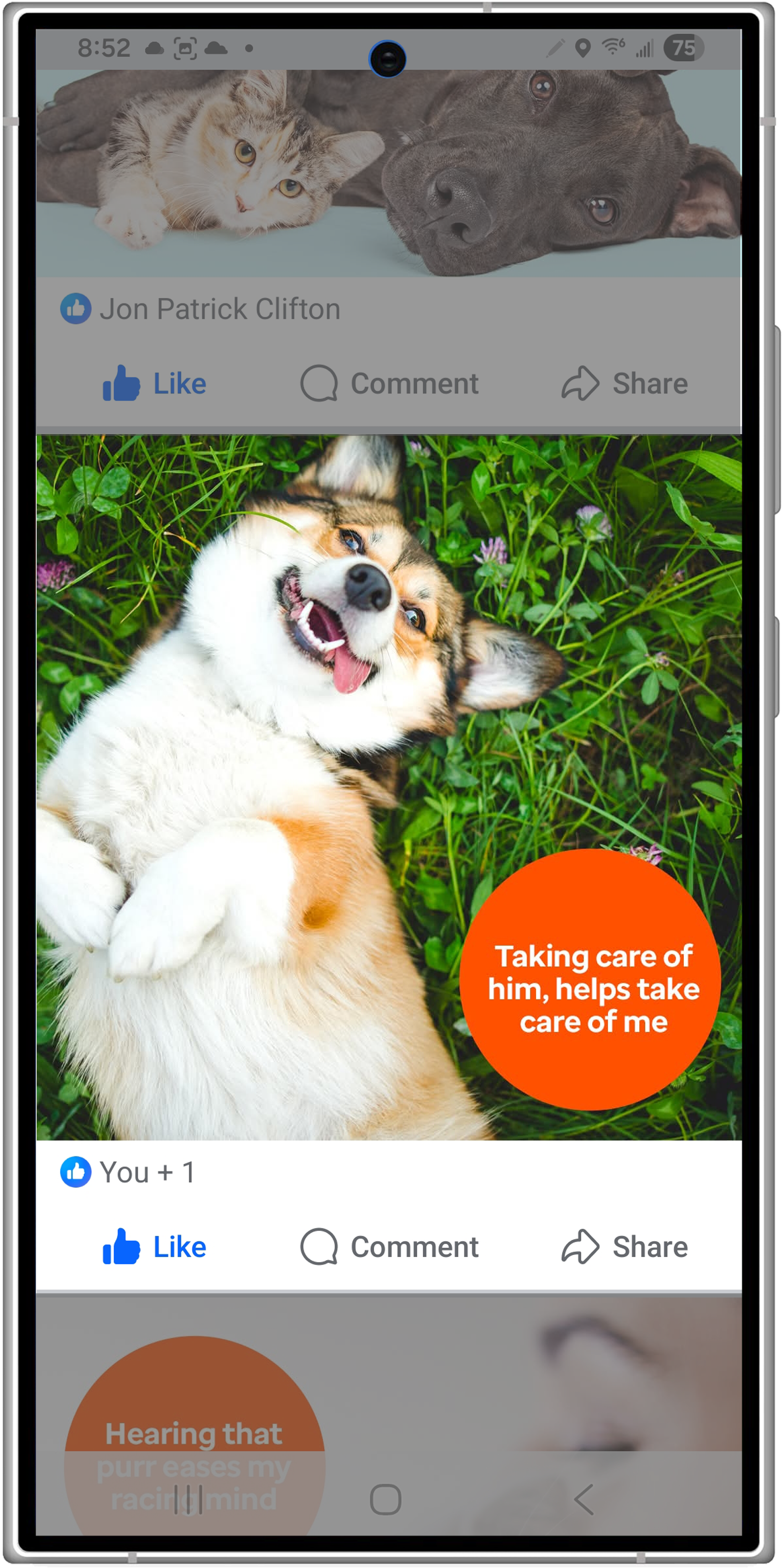 Pets 3.png