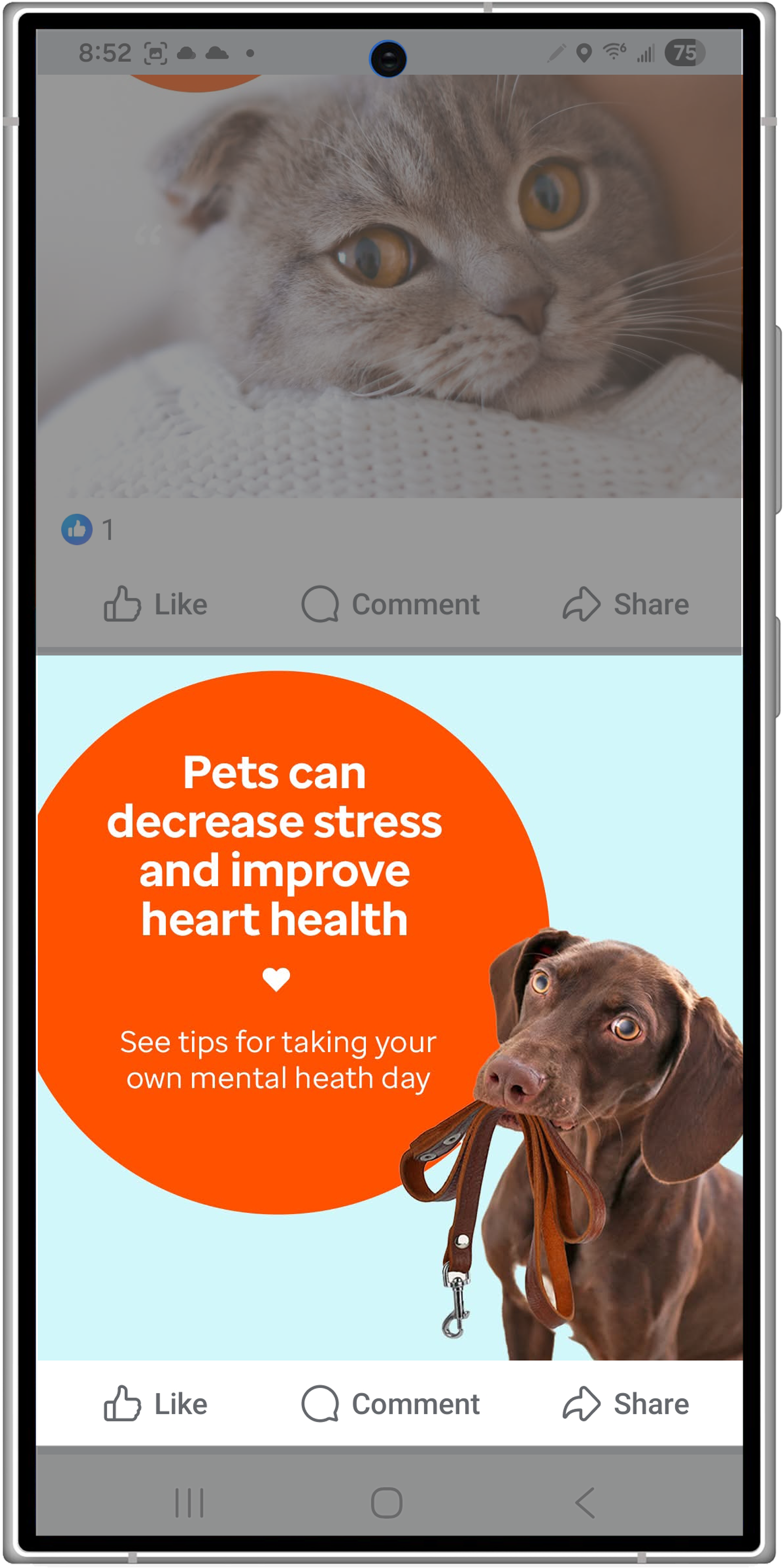 Pets 5.png