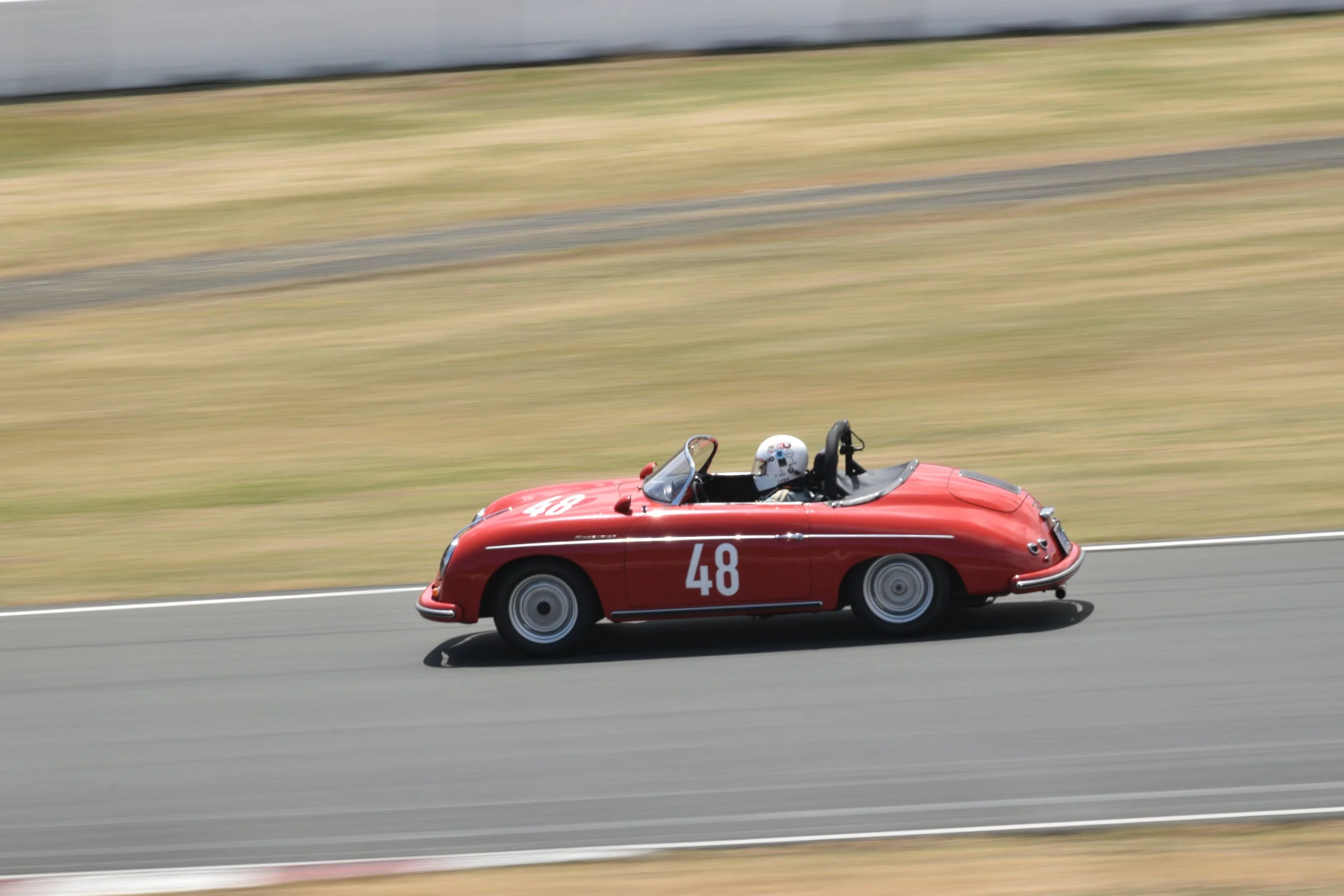 DSC_0787.jpg