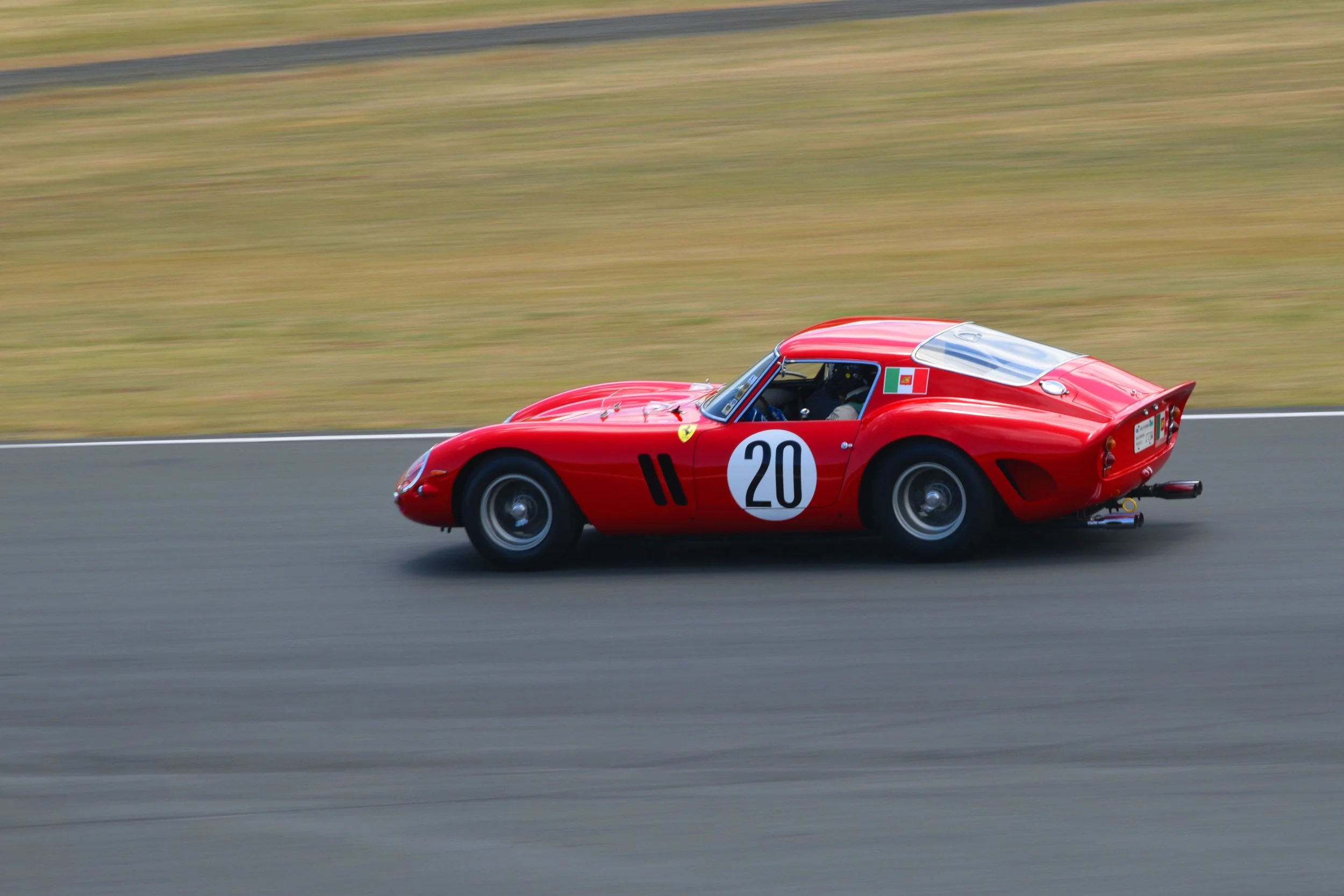 DSC_0800.jpg