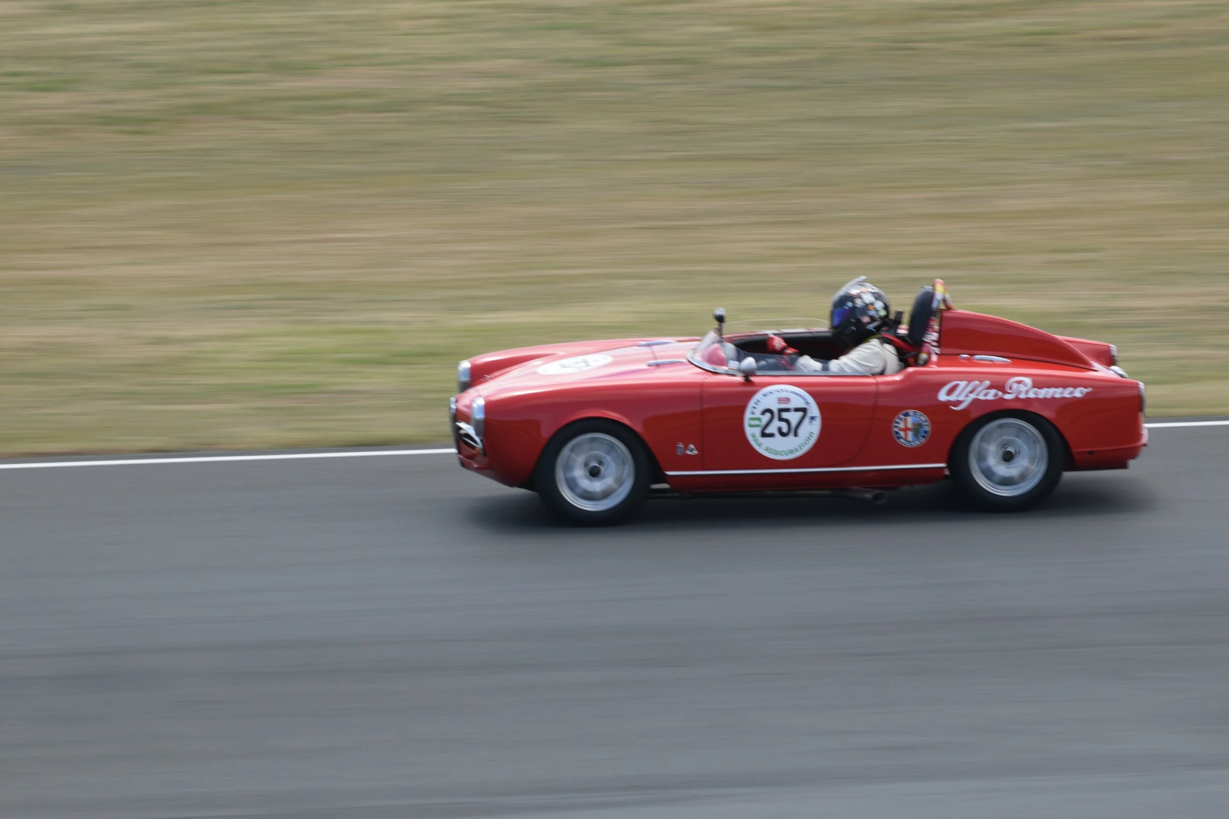 DSC_0798.jpg
