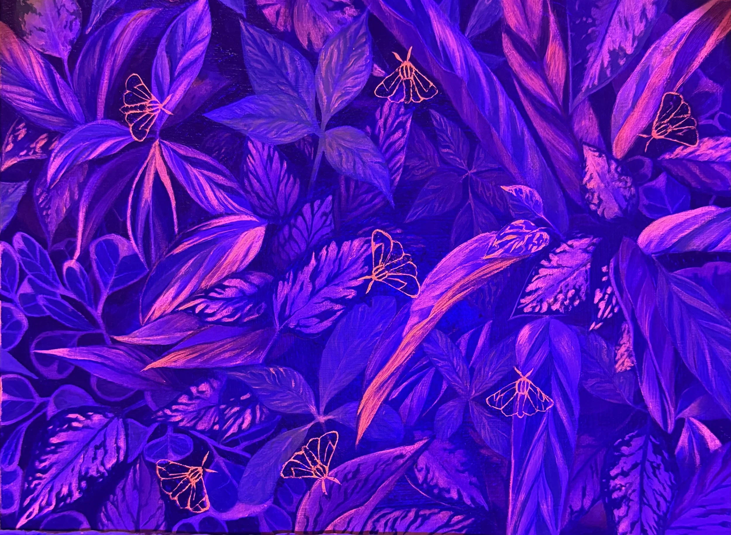 "Viva la Vida" Acrylic 8x12. UV light detail. 