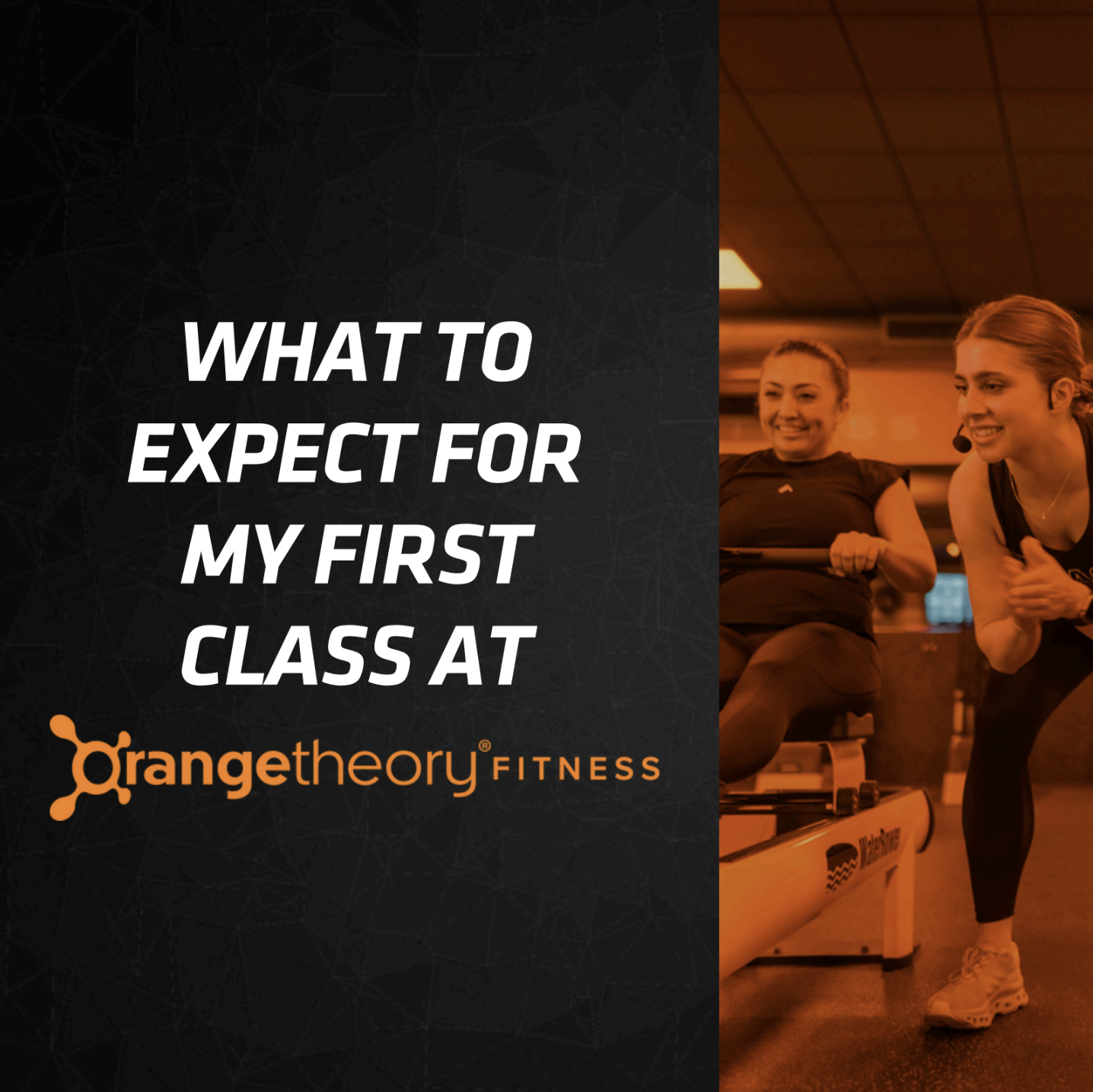 Screenshot 2025-08-11 at 11.33.23 AM.png