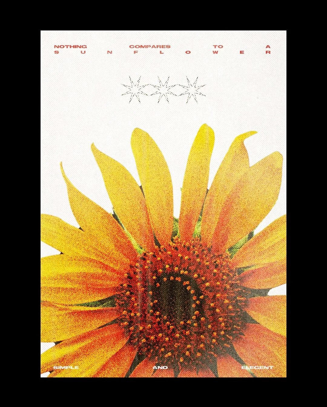 SUN-KISSED - poster design 
Hit me up for work. Doing a lot of projects this month!!