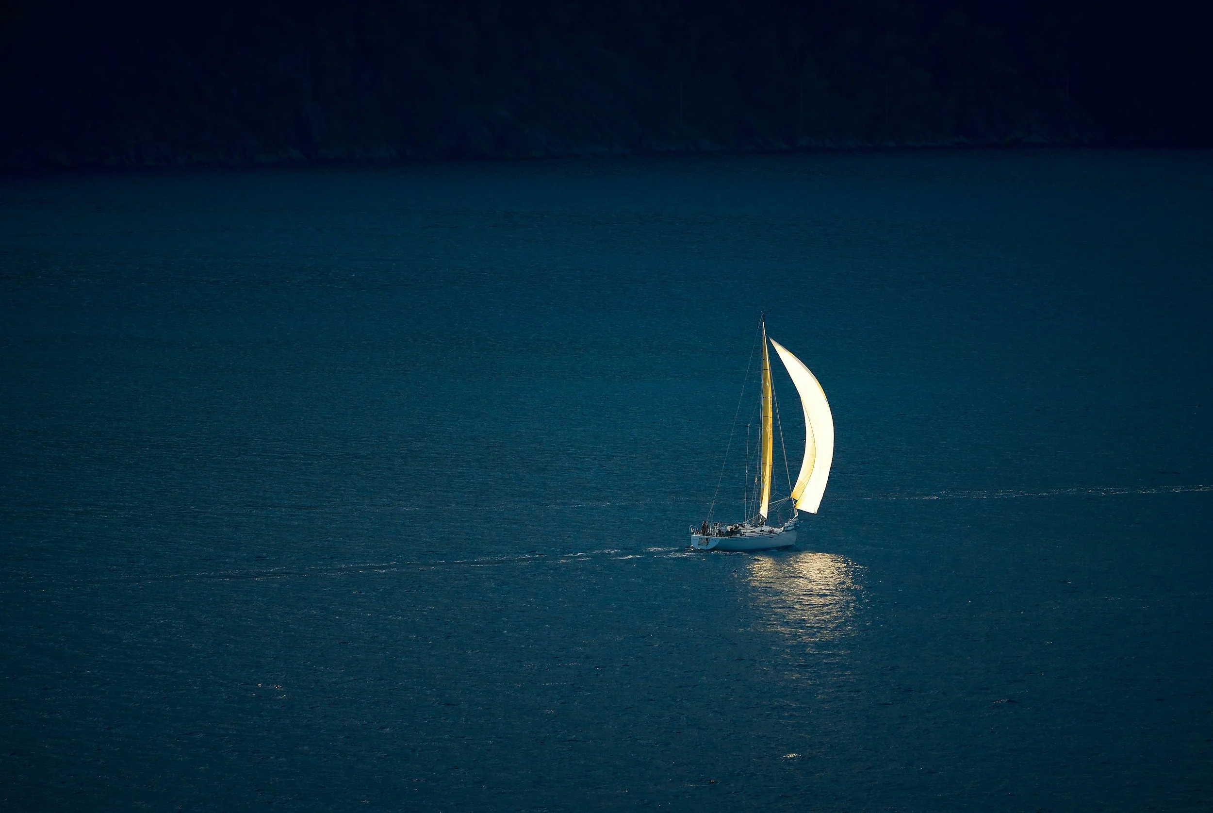 "Steering by Starlight" (lessons from Martha Beck)