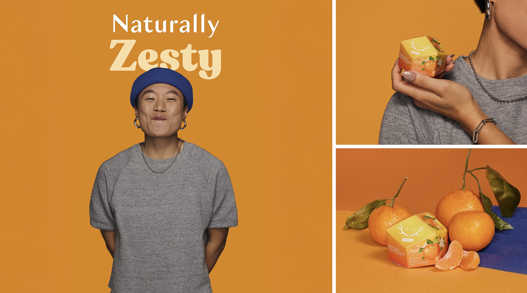 Zesty.png