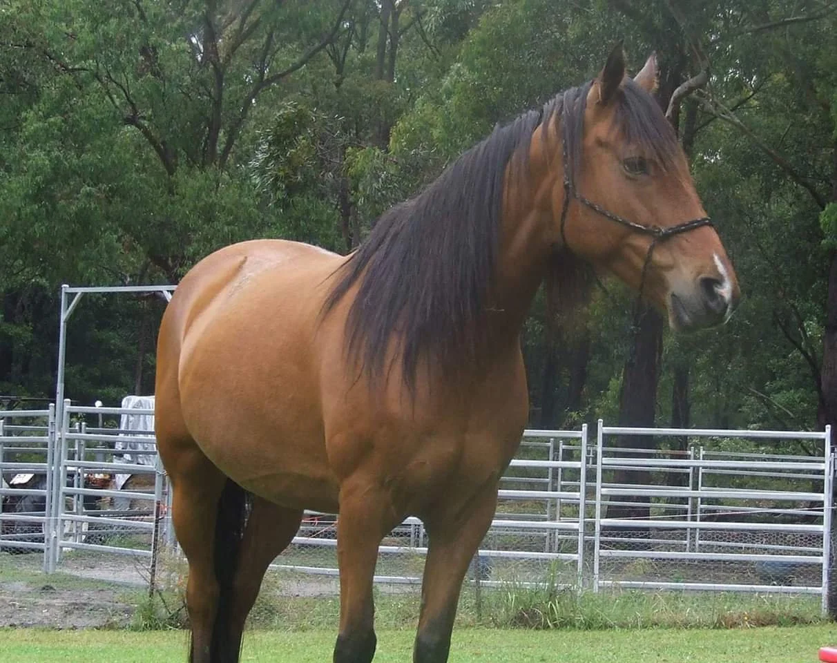 what is energy and is it really that woo woo?