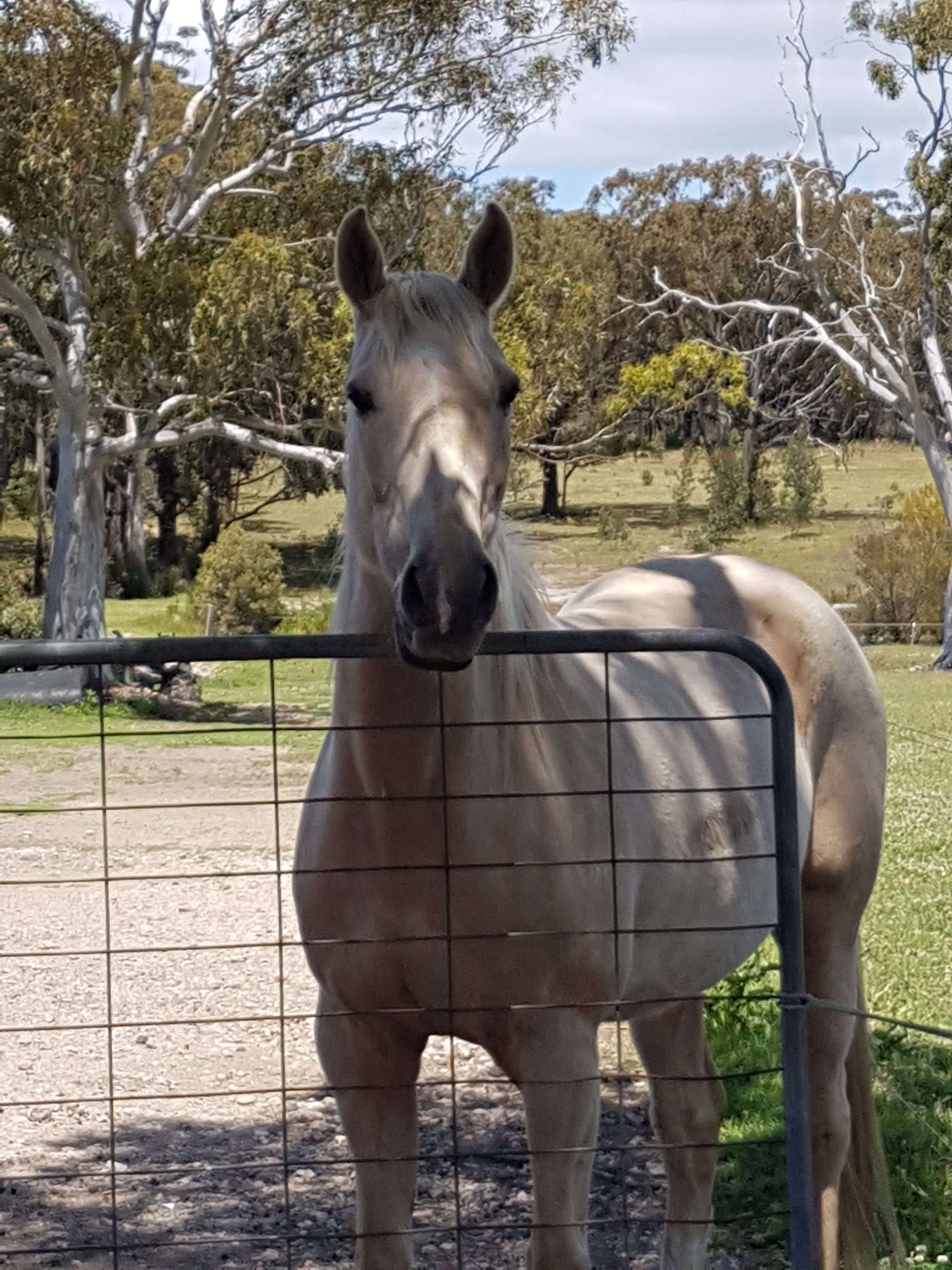 chances are you already know what is going on with your animals