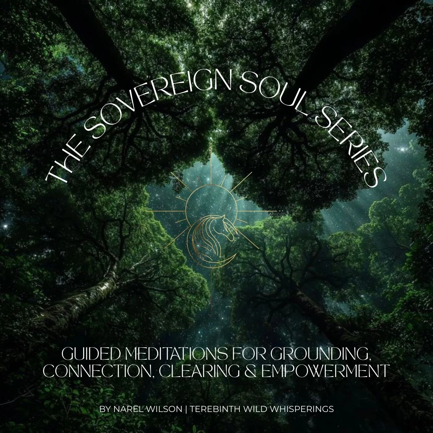 The Sovereign Soul Series: Guided Meditations for Grounding, Connection, Clearing & Empowerment