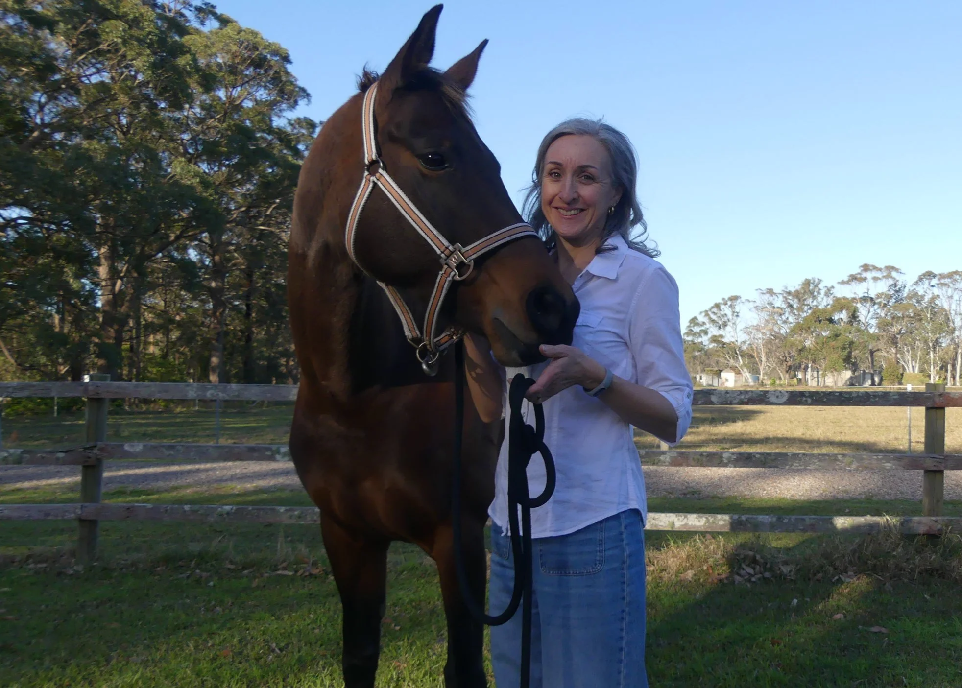 Horse after animal communication with Terebinth Wild Whisperings
