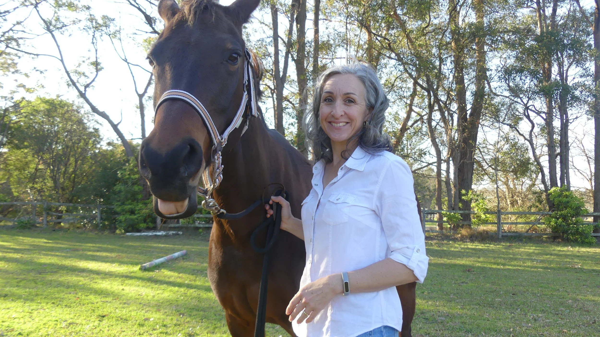 Horse releasing in energy healing session with Terebinth Wild Whisperings