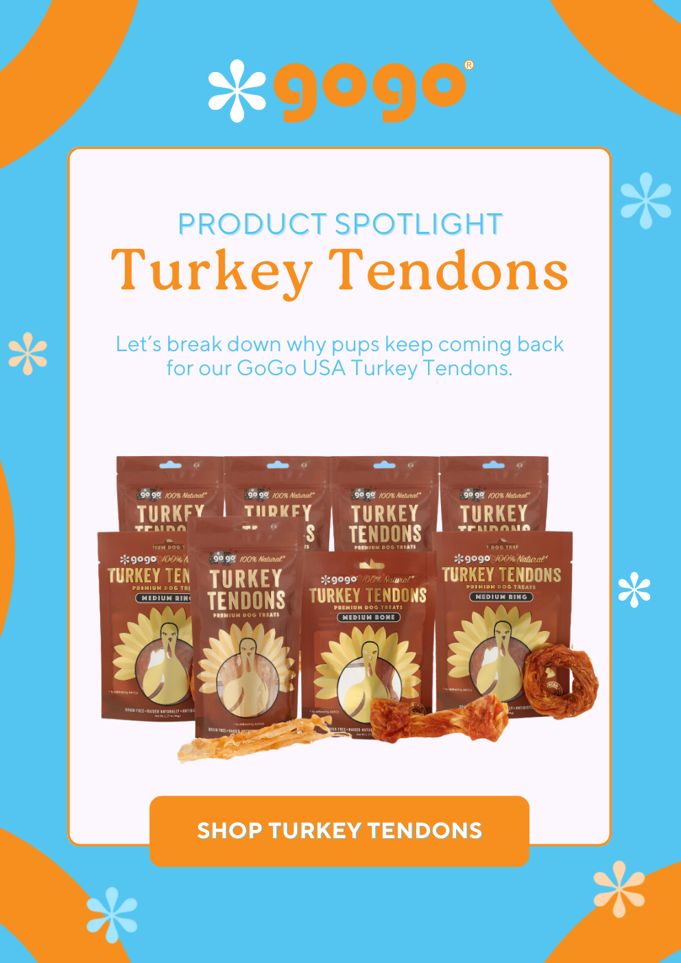 GoGo Pet Products Email Newsletter Marketing - Kristina Nihan Design Marketing UX UI Small Business