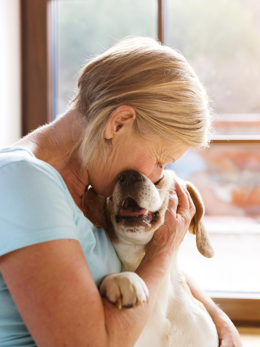 Kristina Nihan GoGo Pet Products Portfolio Project