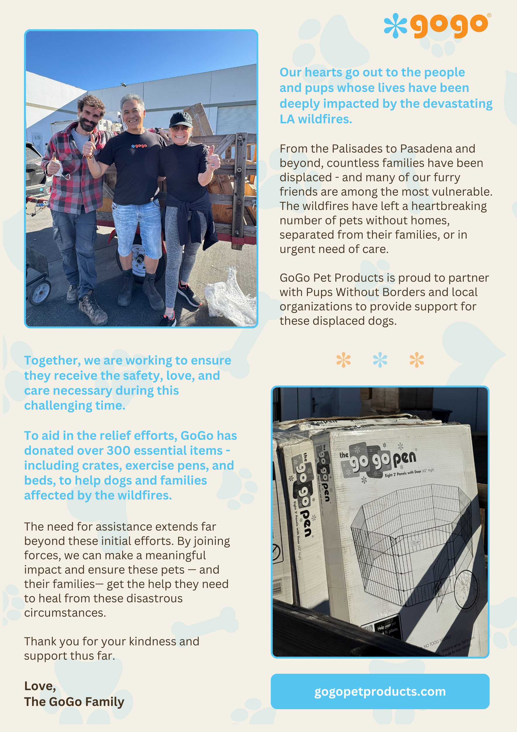 GoGo Pet Products Flyer - Kristina Nihan Design Marketing UX UI Small Business