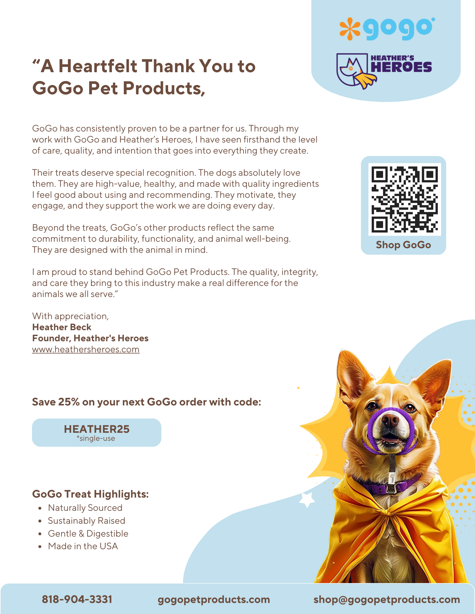 GoGo Pet Products Flyer - Kristina Nihan Design Marketing UX UI Small Business
