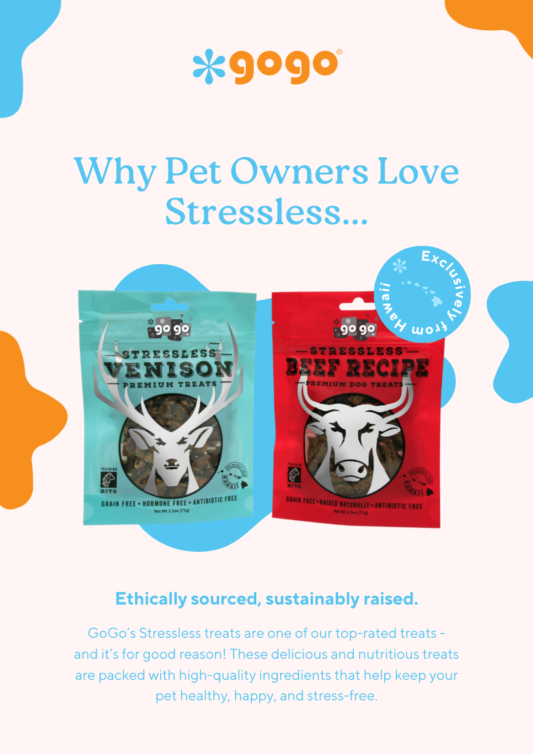 GoGo Pet Products Email Newsletter Marketing - Kristina Nihan Design Marketing UX UI Small Business