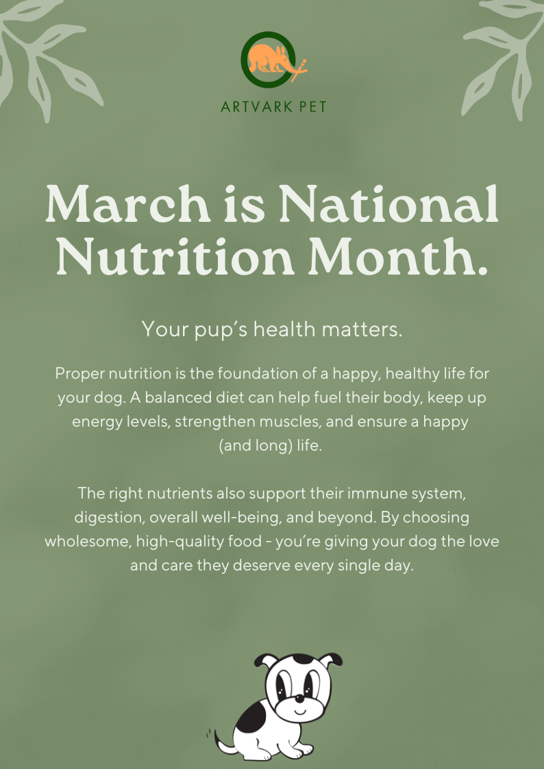 Artvark Pet Products Flyer - Kristina Nihan Design Marketing UX UI Small Business 