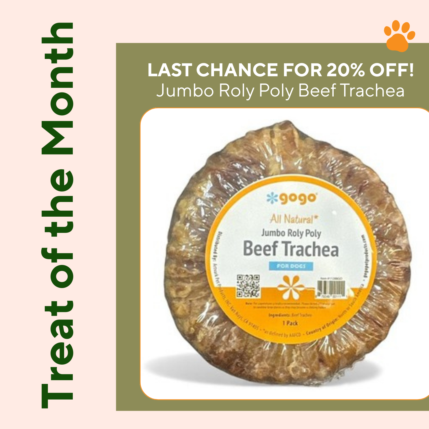 Artvark Pet Products Social Media Marketing - Kristina Nihan Design Marketing UX UI Small Business